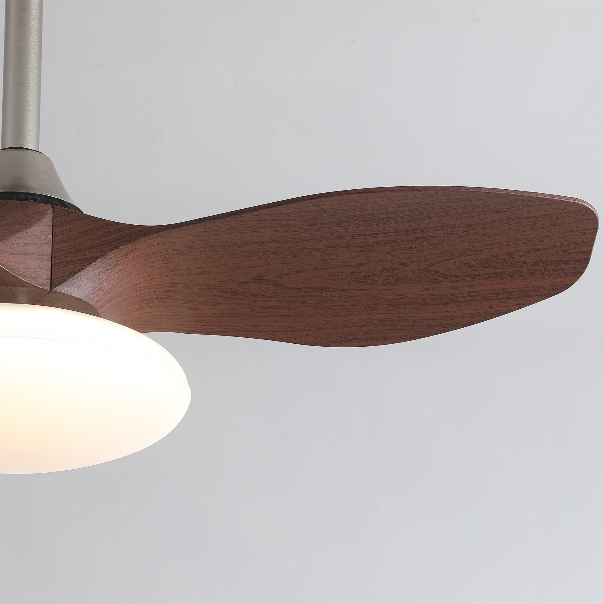 Zephira Ceiling Fan Light - Letslighting
