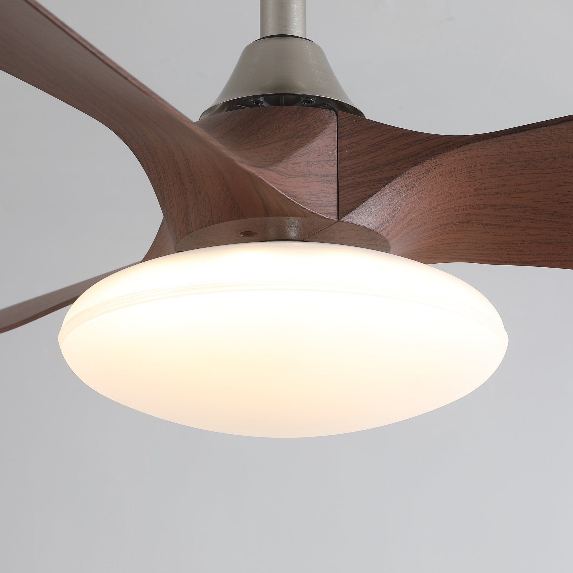 Zephira Ceiling Fan Light - Letslighting