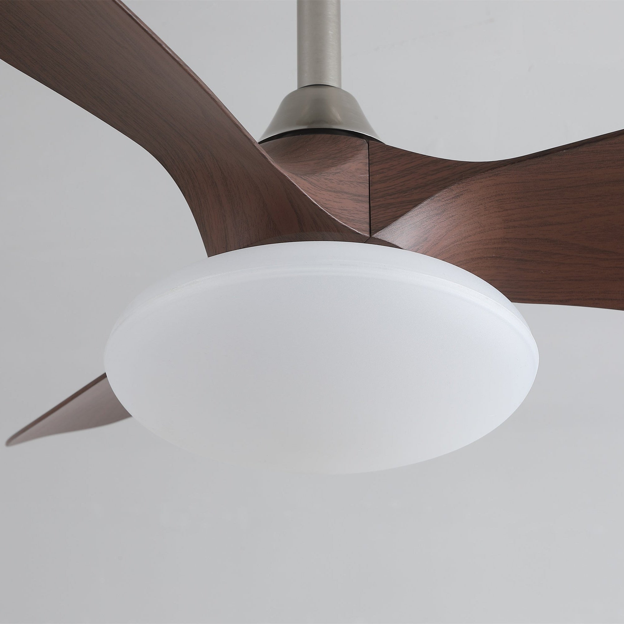 Zephira Ceiling Fan Light - Letslighting