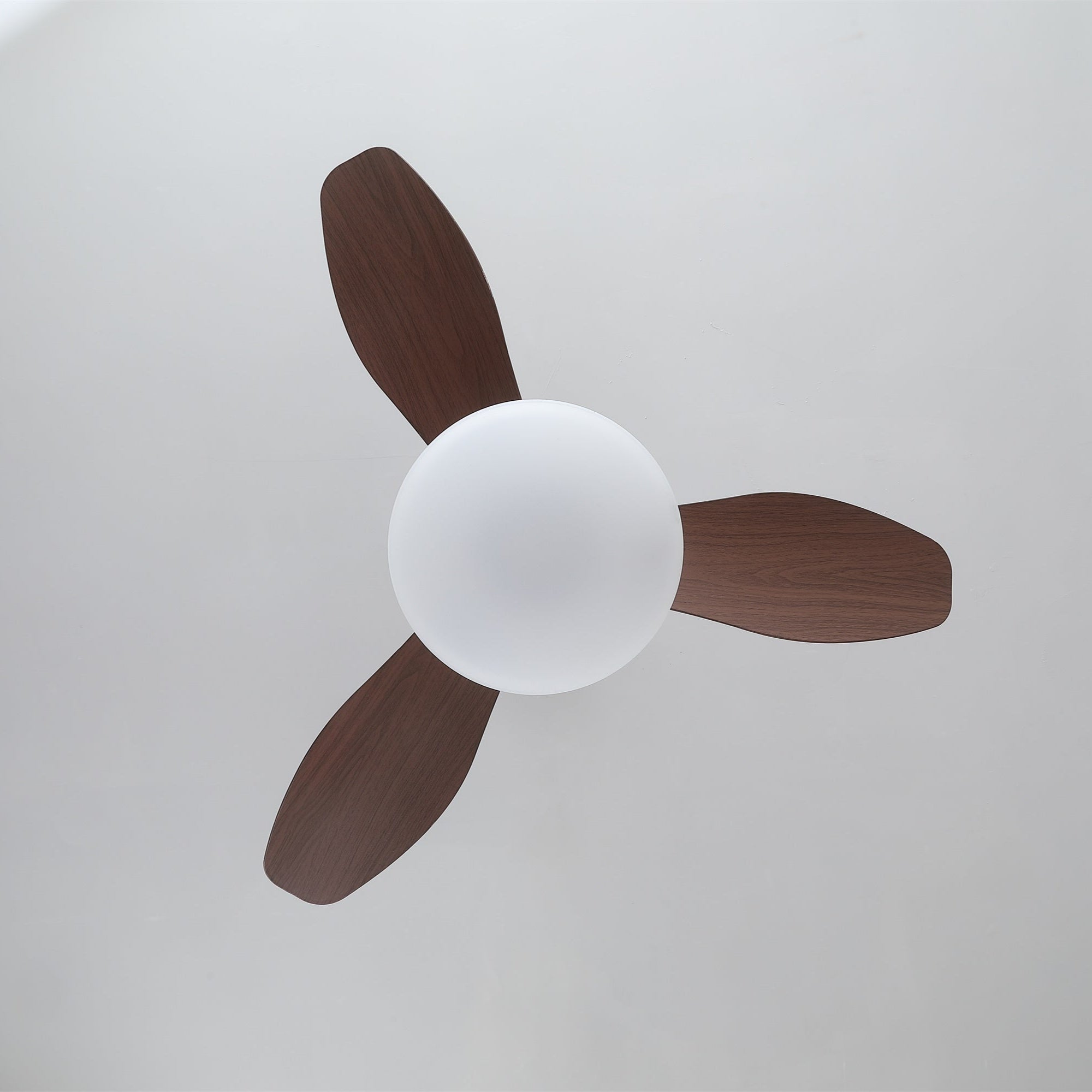 Zephira Ceiling Fan Light - Letslighting