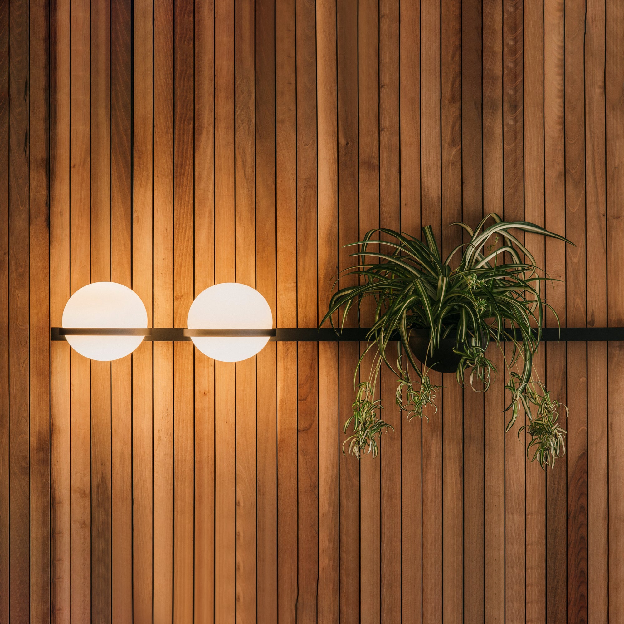 Ray Indoor Outdoor Wall Light - Letslighting