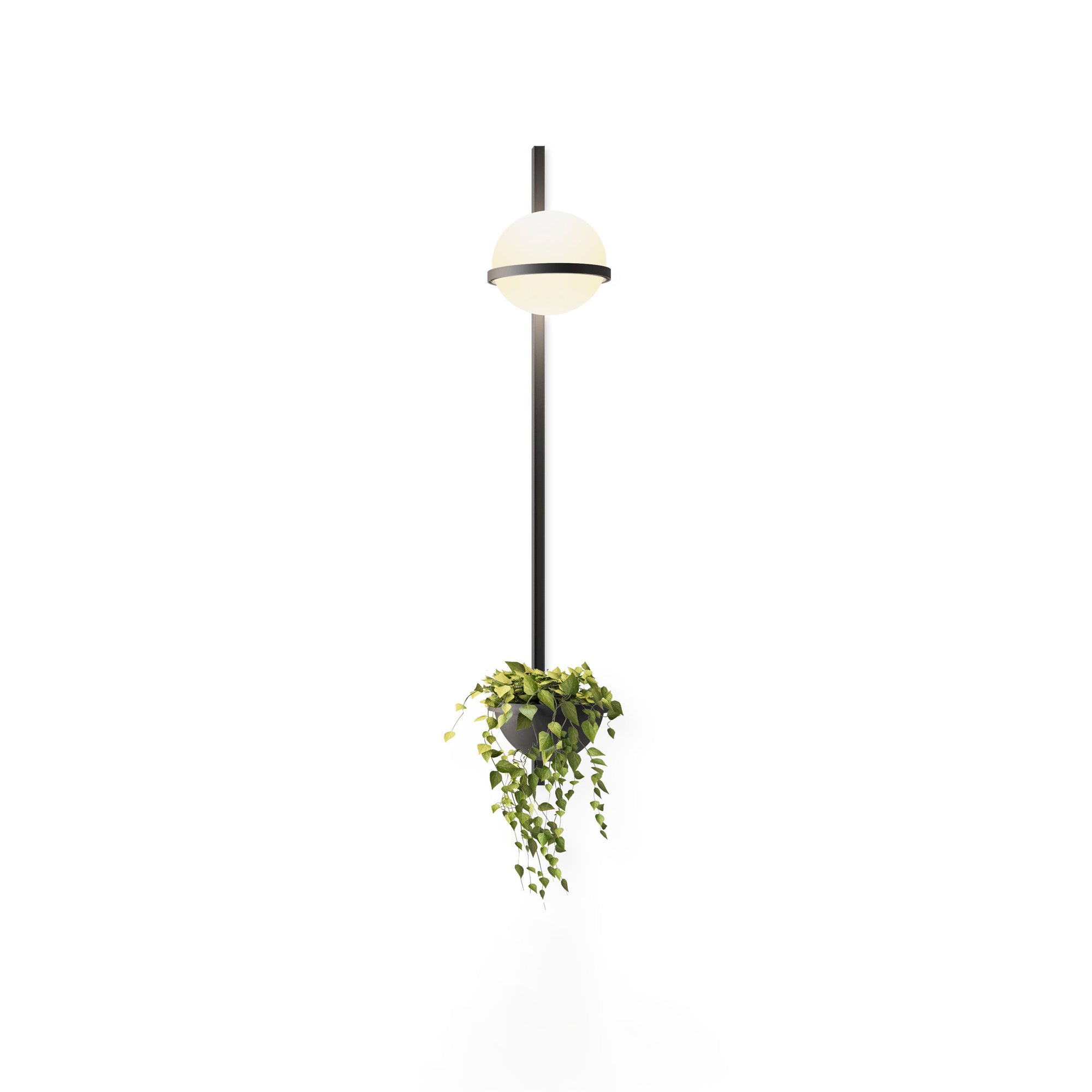 Elmarisra Modern Minimalist Wall Light - Letslighting
