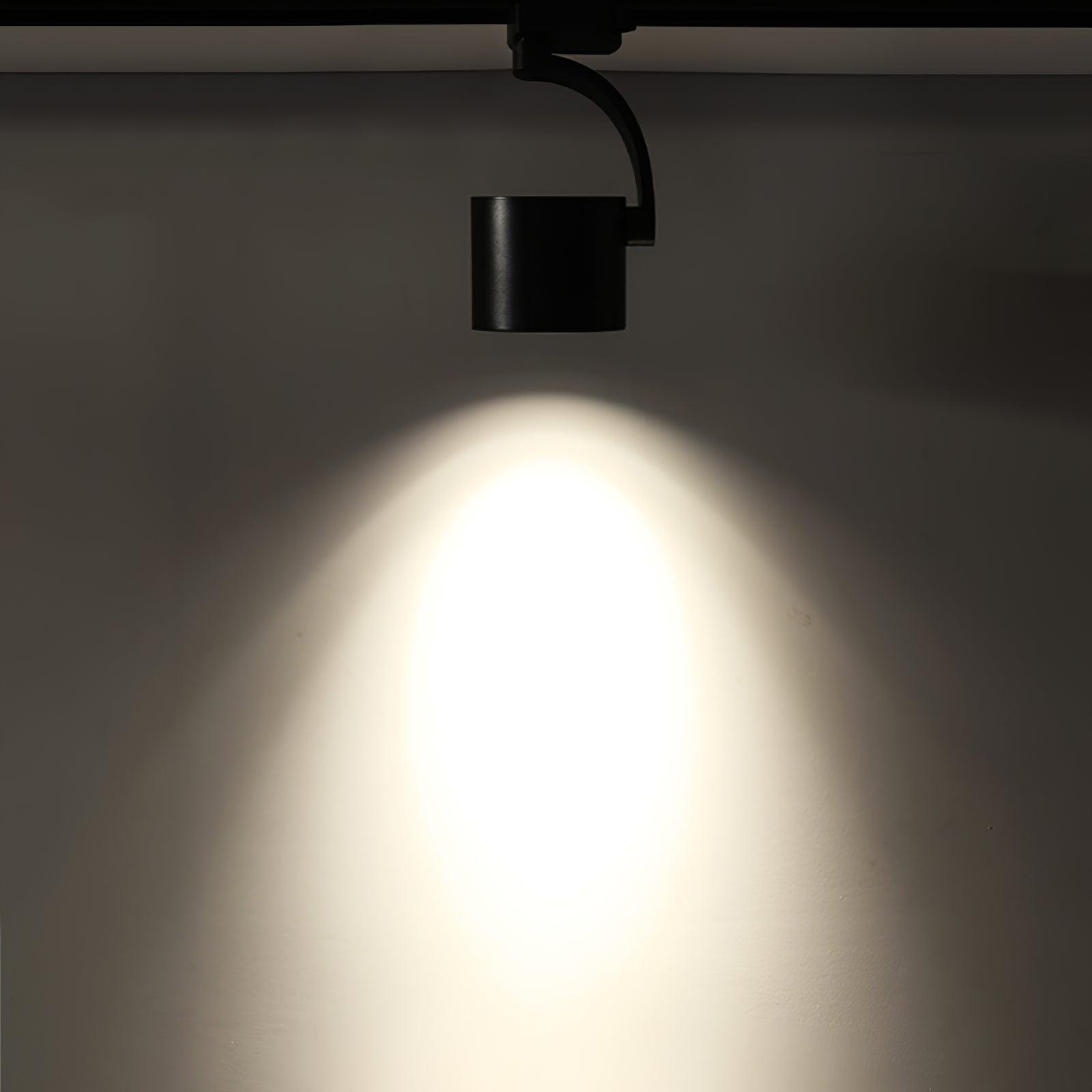 Focus Sleek Aluminum Ceiling Light - Letslighting