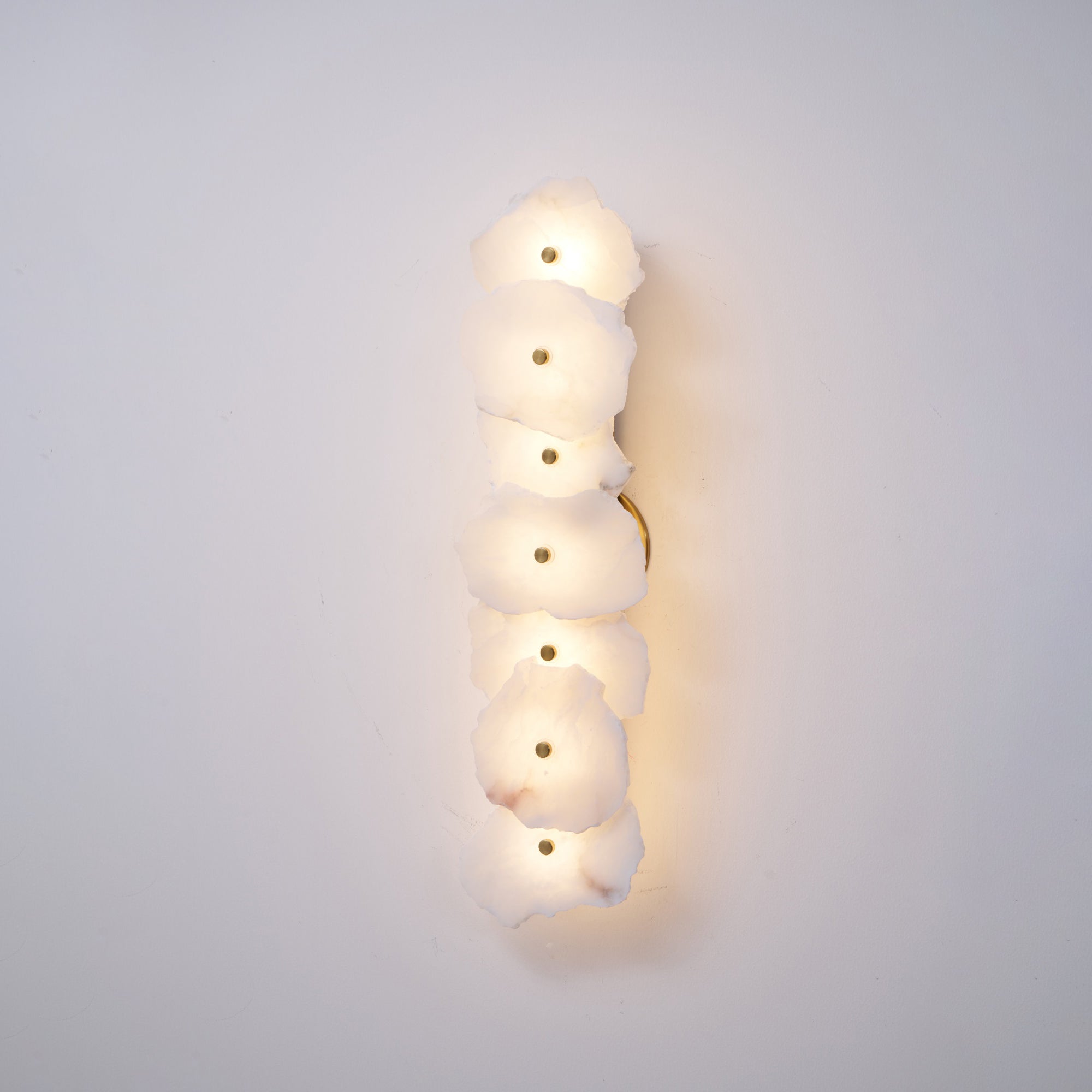 Alaeila Floral Cluster Alabaster Wall Light - Letslighting