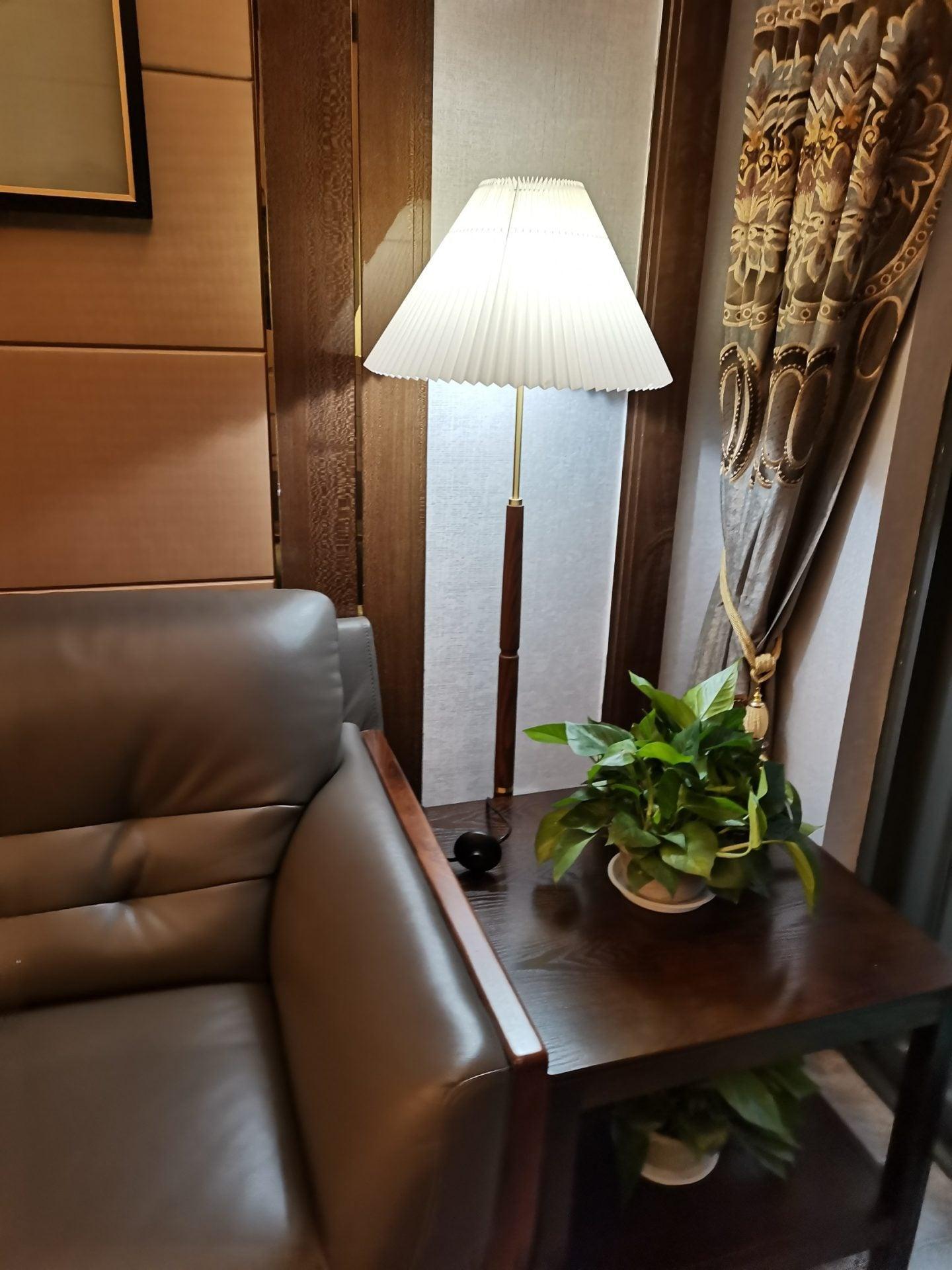 Cary Minimalist Wood Floor Lamp - Letslighting