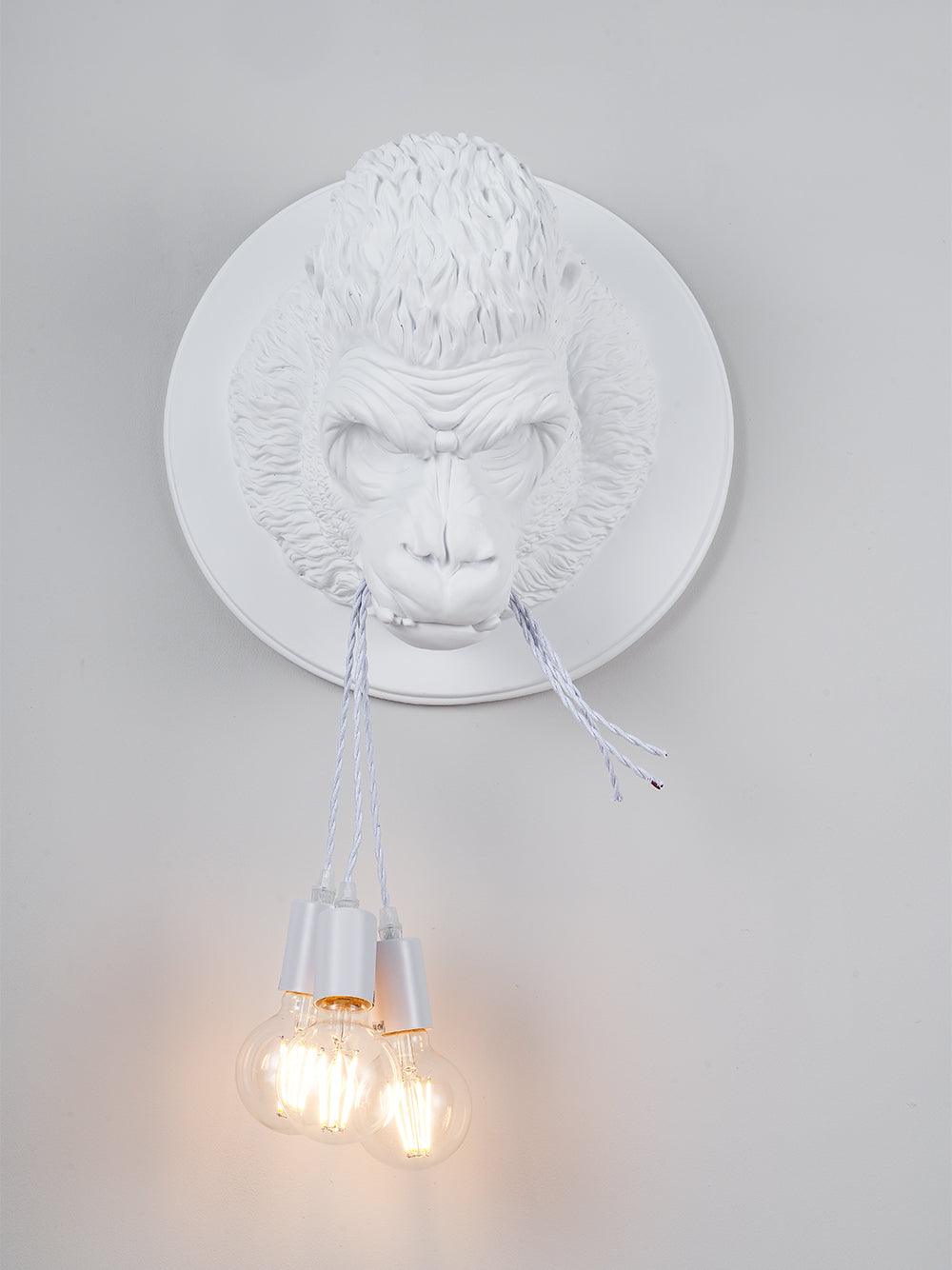 Veleda Premium Elegance Resin Sconce Wall Lamp - Letslighting