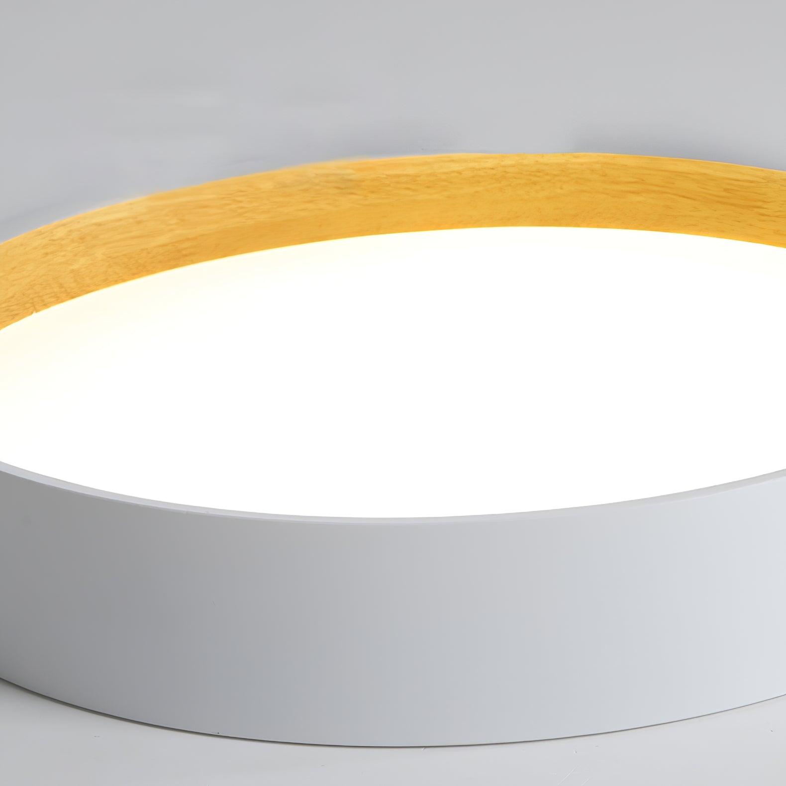 Elvenis Modern Minimalist Round Ceiling Lamp - Letslighting