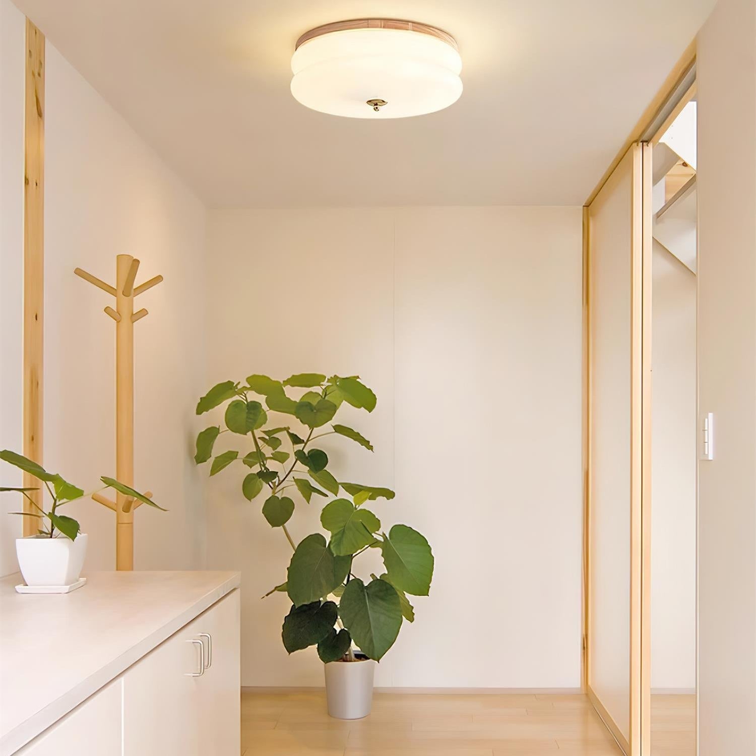 Ceiling Light Double-Layer Glass Disc Walnut Wood Minimalist - Letslighting
