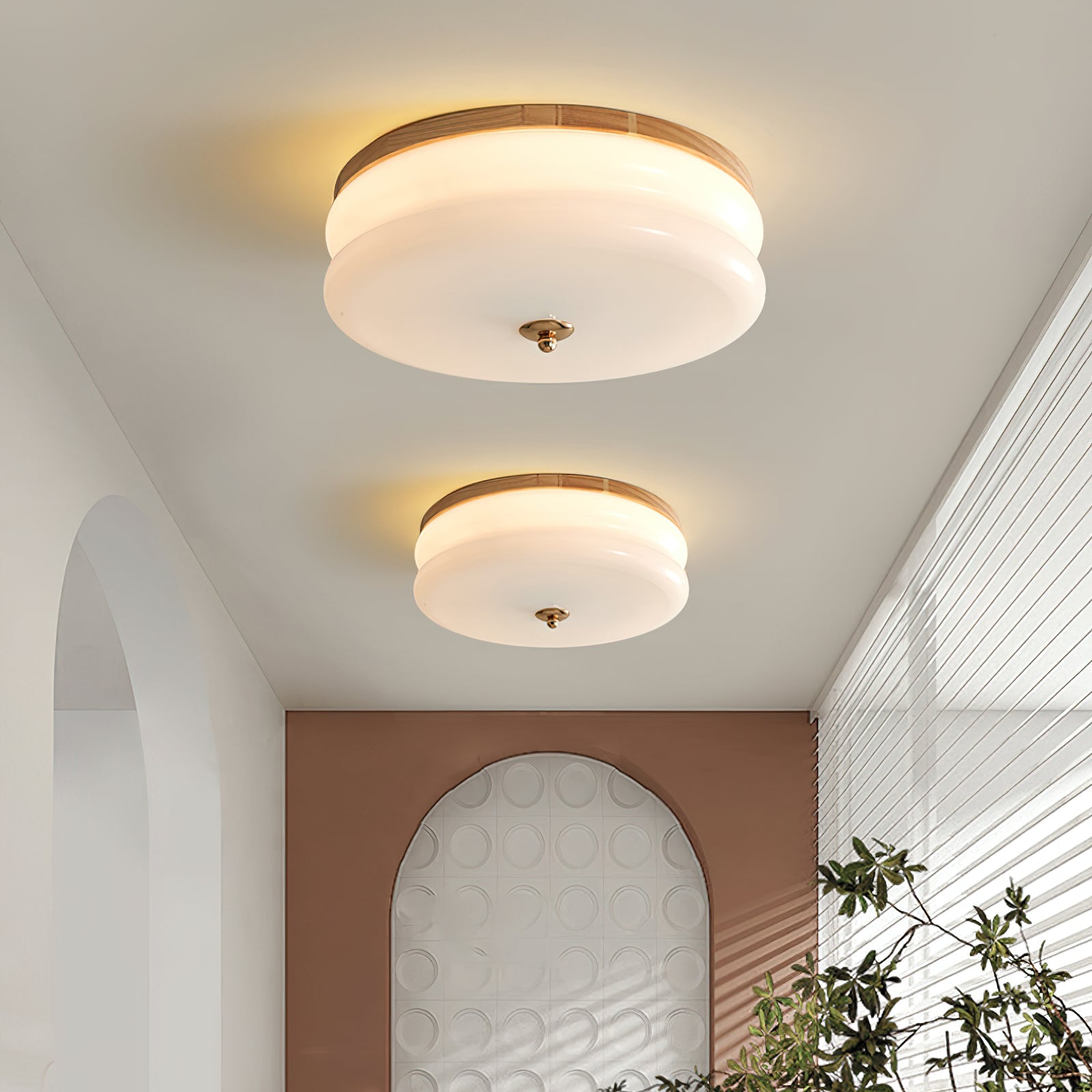 Ceiling Light Double-Layer Glass Disc Walnut Wood Minimalist - Letslighting