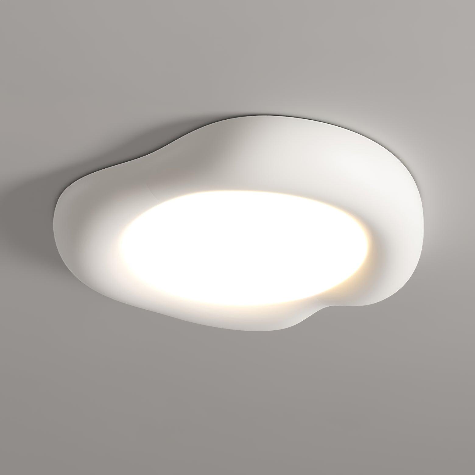 Zelaeis Shaped Apple Resin Ceiling Lamp - Letslighting