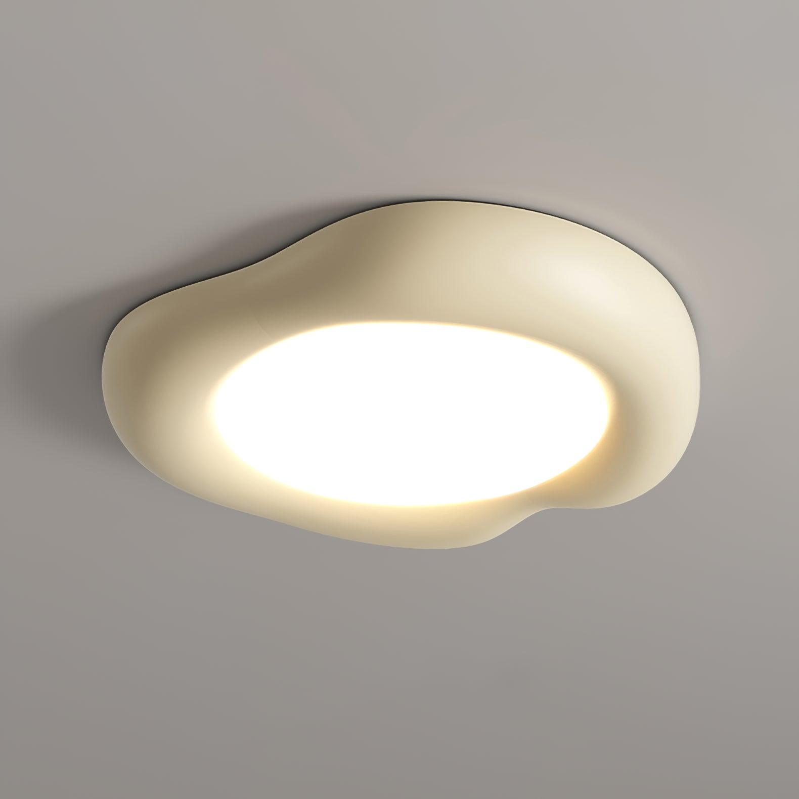 Zelaeis Shaped Apple Resin Ceiling Lamp - Letslighting