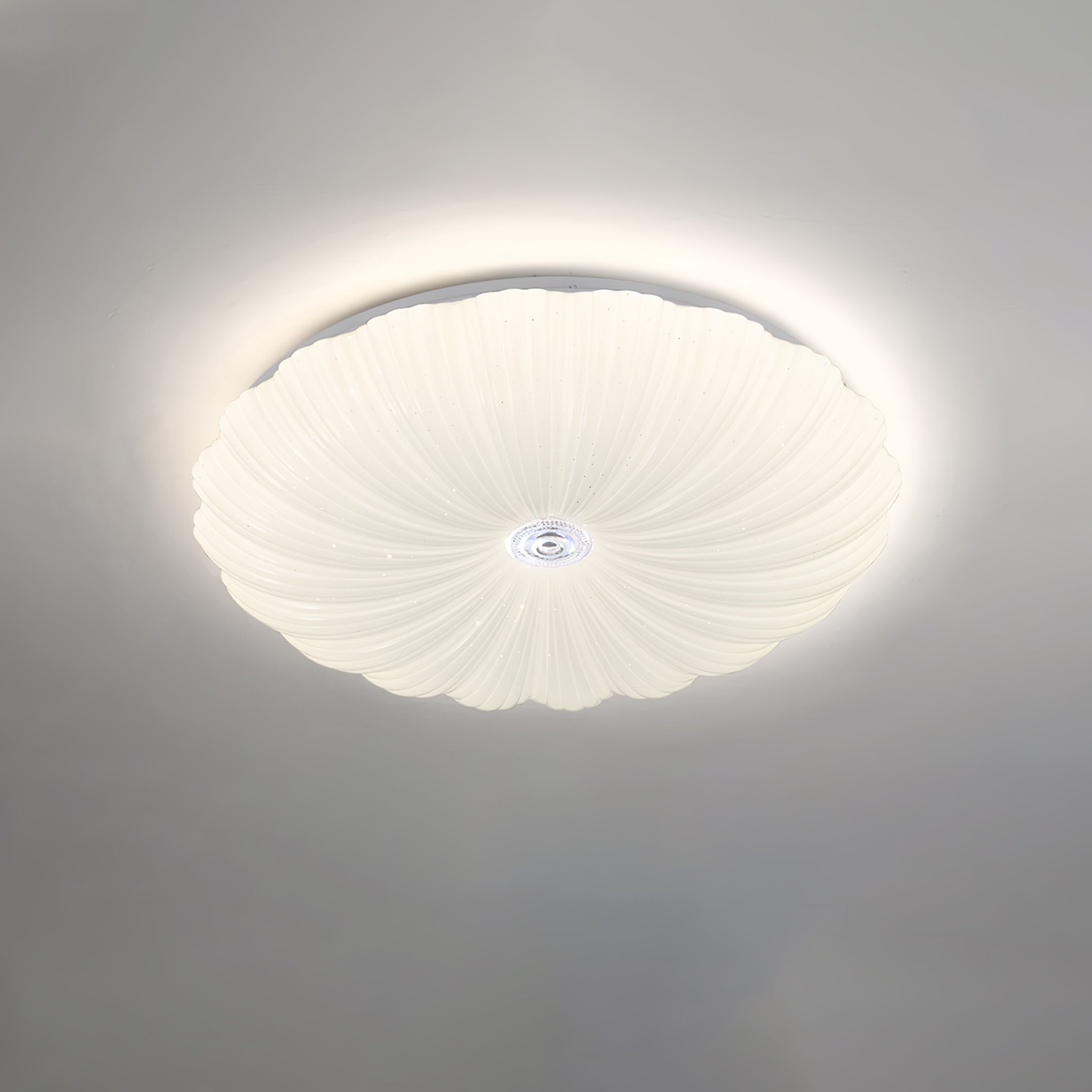 Coloria Nordic Art Shell Round Ceiling Lamp - Letslighting