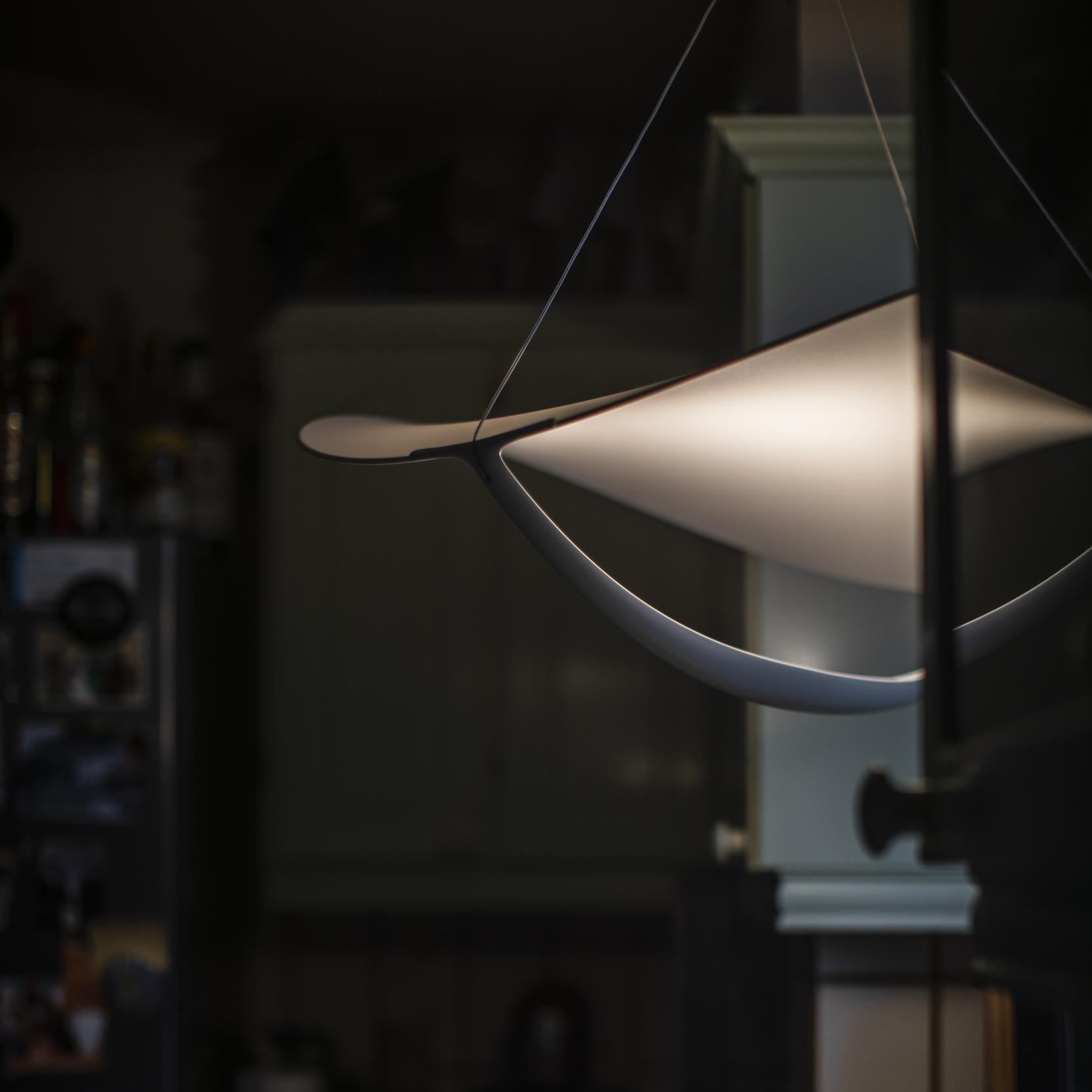 Shield Pendant Lamp Curved Organic Minimalist - Letslighting