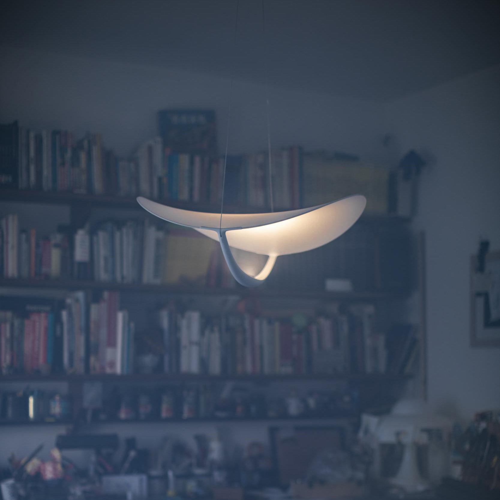 Shield Pendant Lamp Curved Organic Minimalist - Letslighting