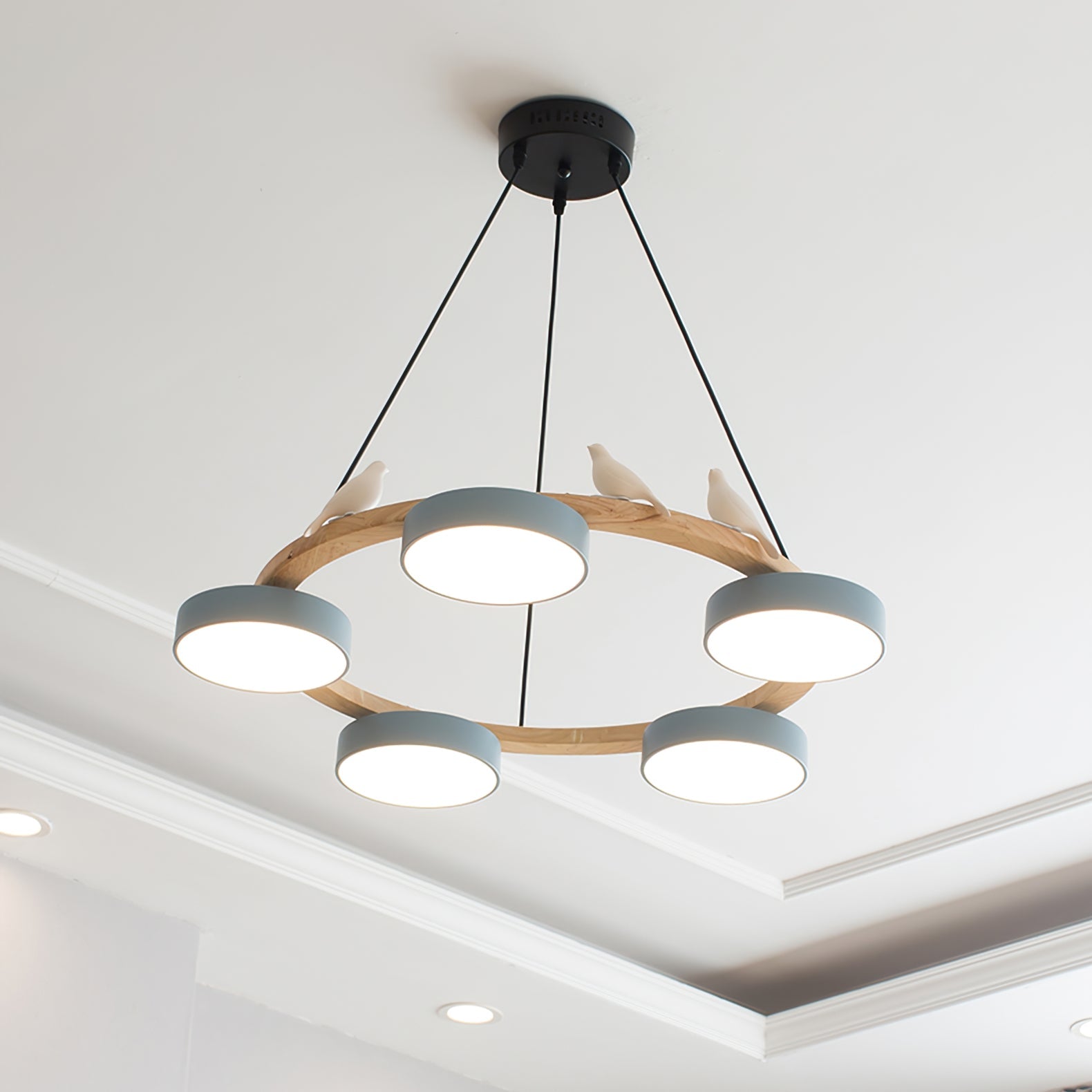 Muto Chandelier Bird Round
