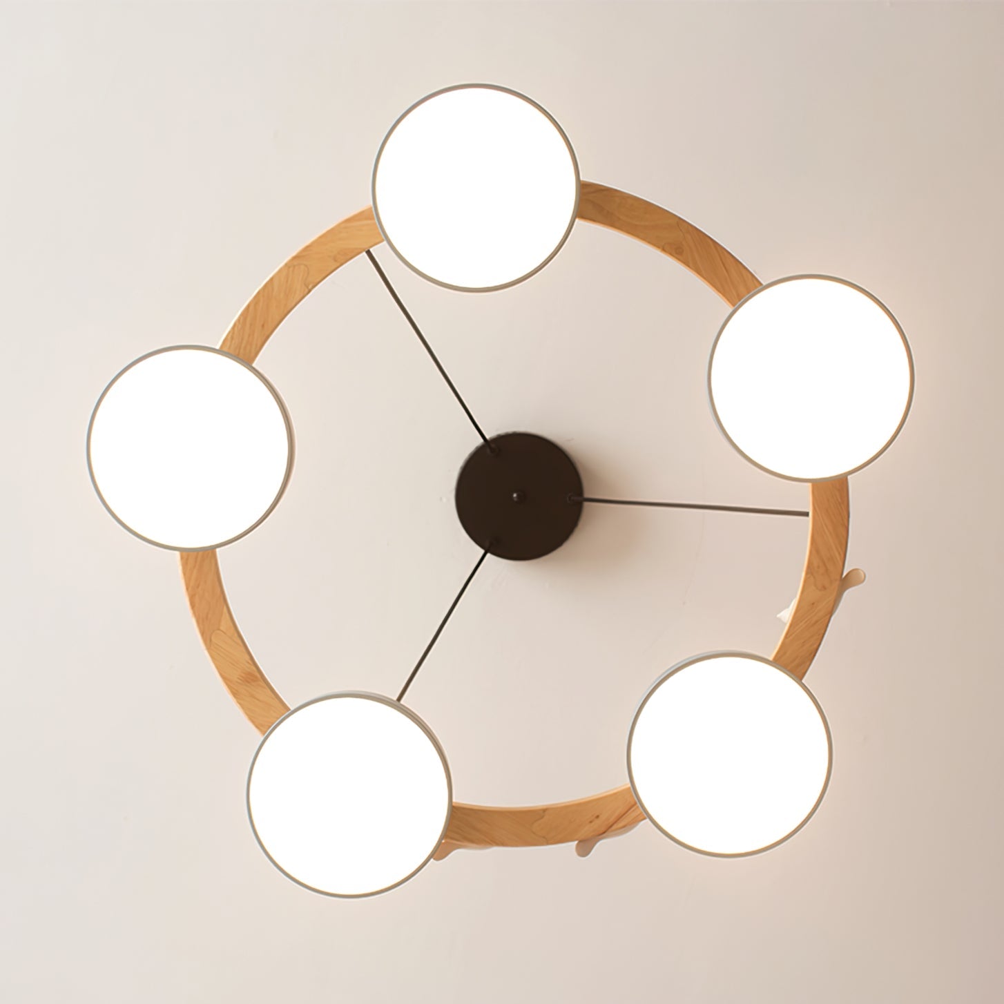 Muto Chandelier Bird Round