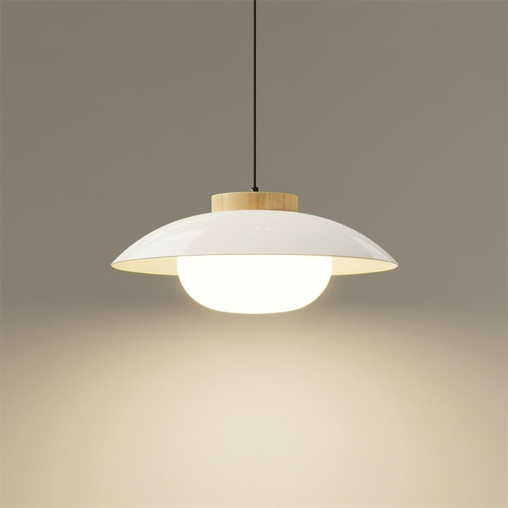 Aero Plug In Pendant Lamp - Letslighting