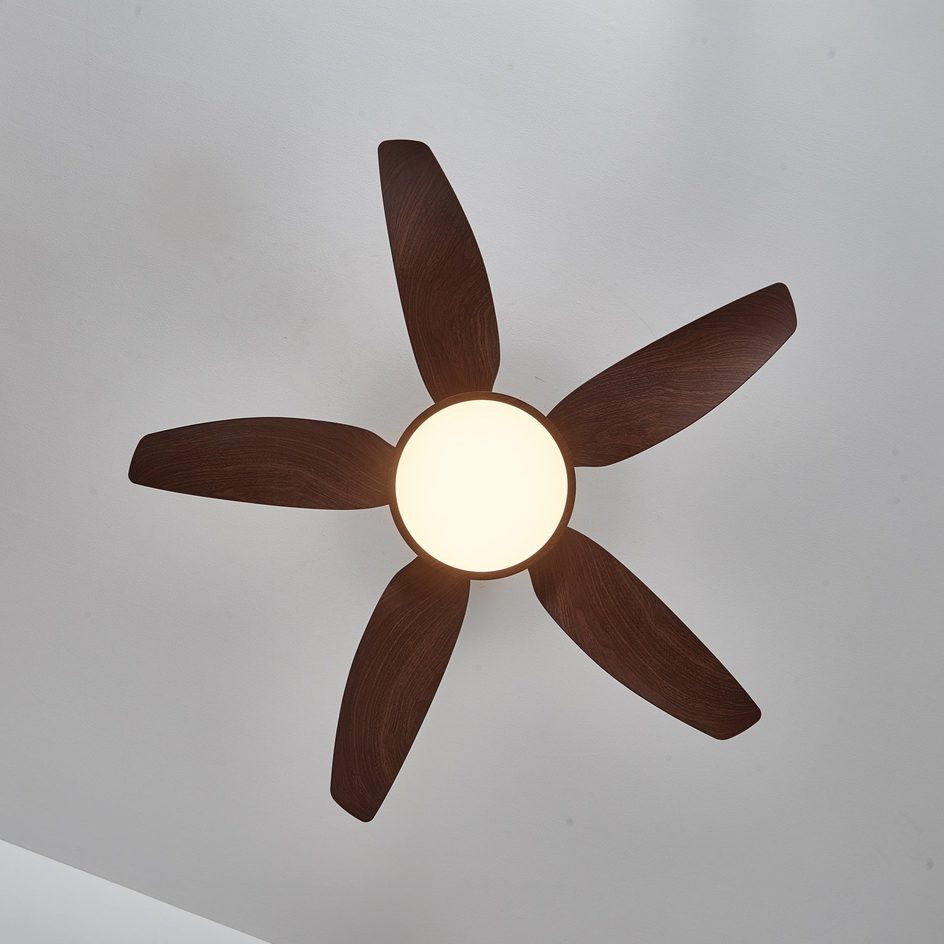 Aurelia Modern Wood Brass Ceiling Fan Light - Letslighting