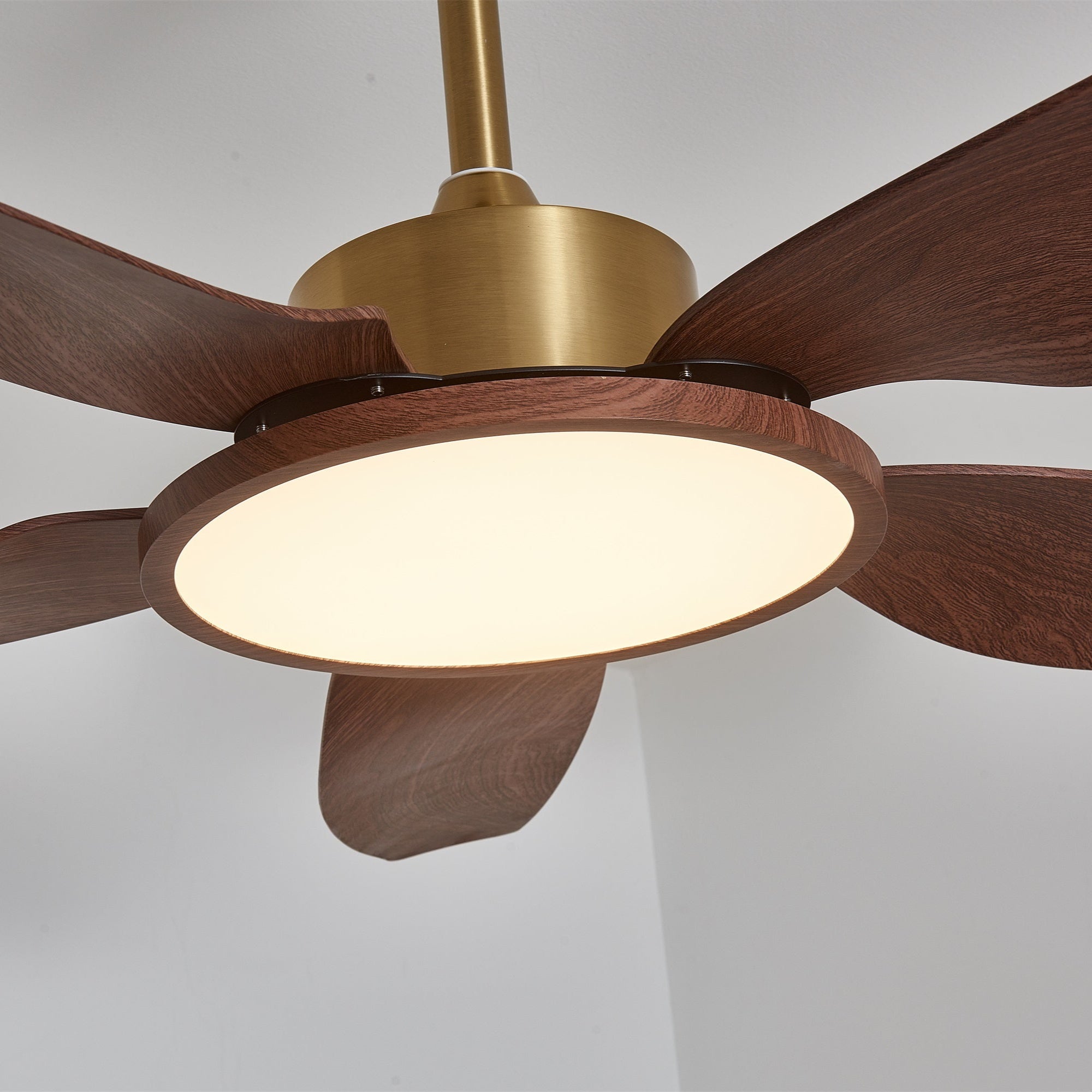 Aurelia Modern Wood Brass Ceiling Fan Light - Letslighting