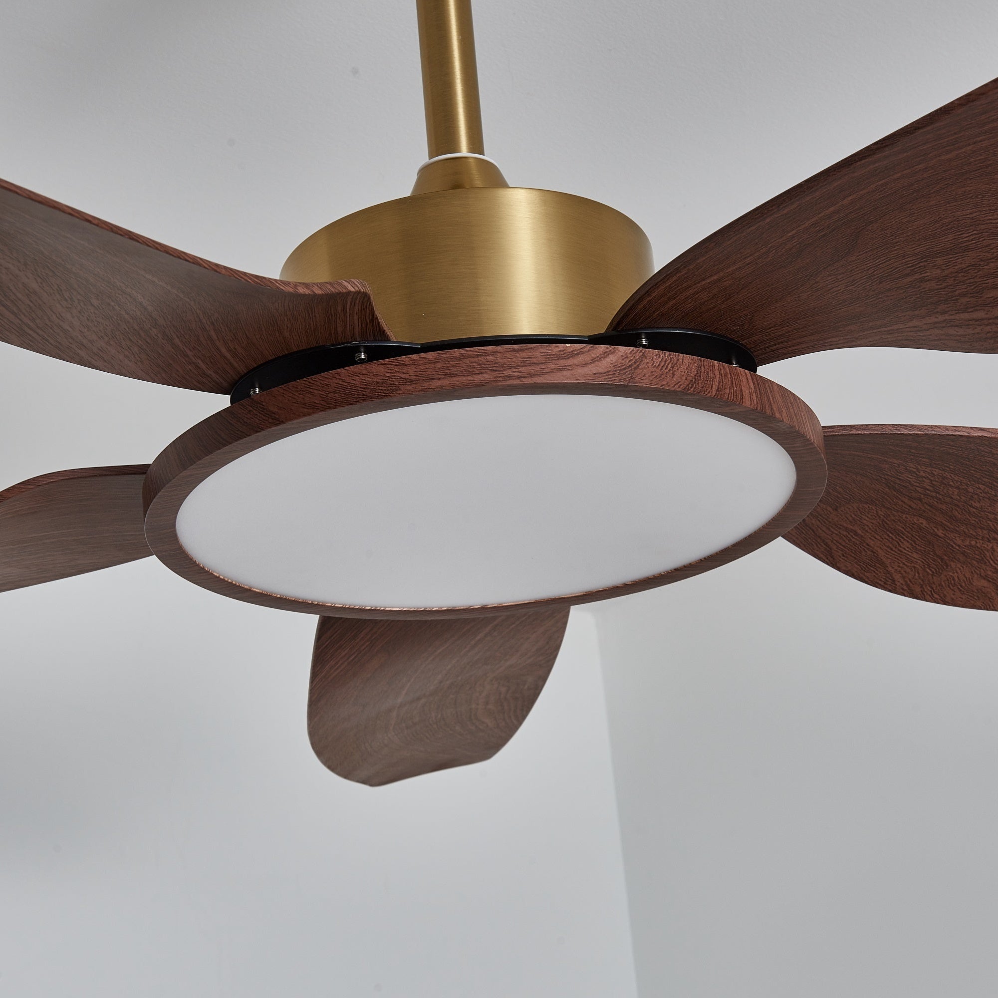 Aurelia Modern Wood Brass Ceiling Fan Light - Letslighting