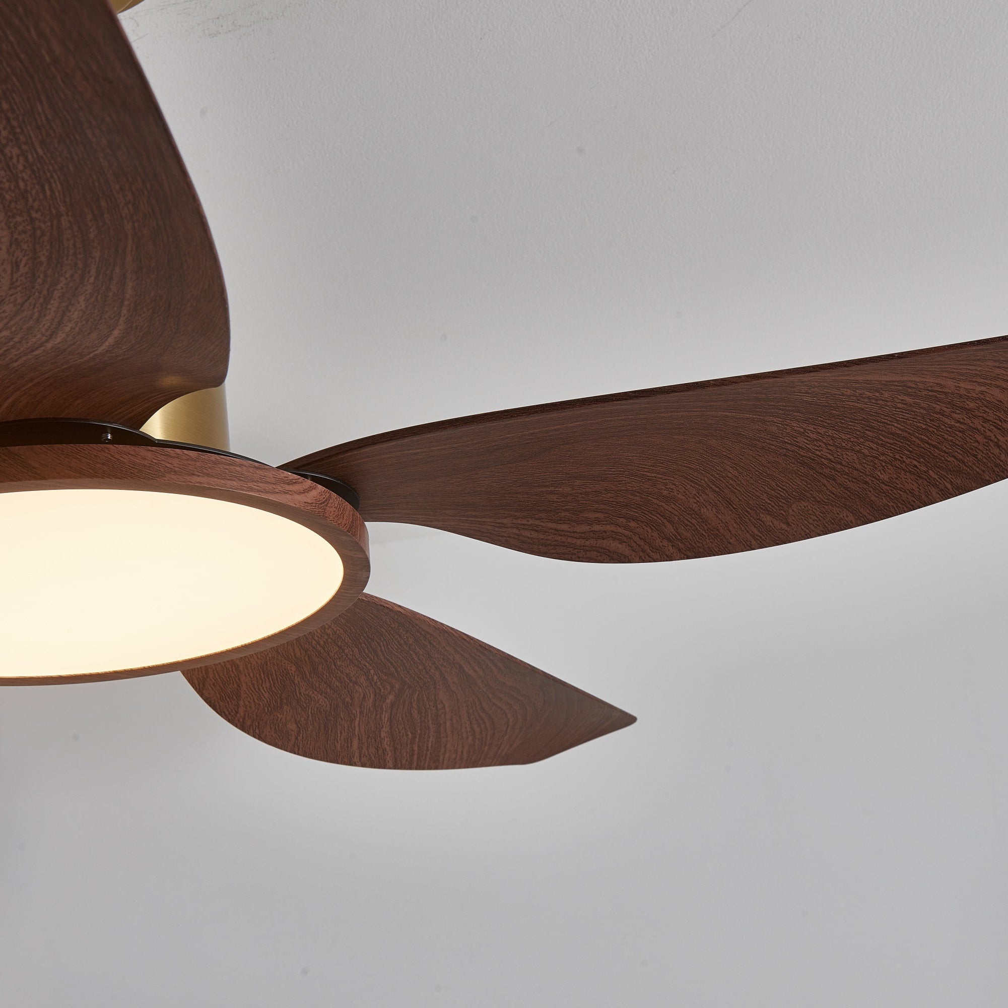 Aurelia Modern Wood Brass Ceiling Fan Light - Letslighting