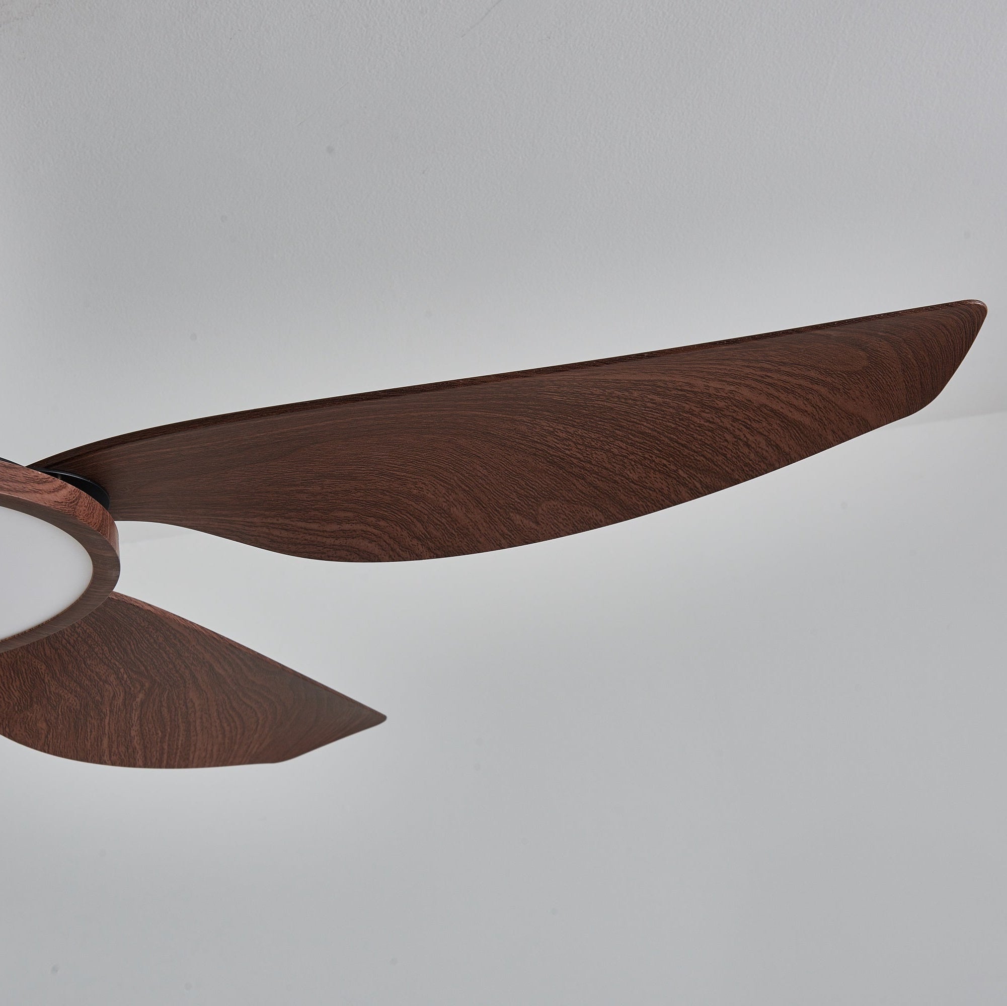 Aurelia Modern Wood Brass Ceiling Fan Light - Letslighting