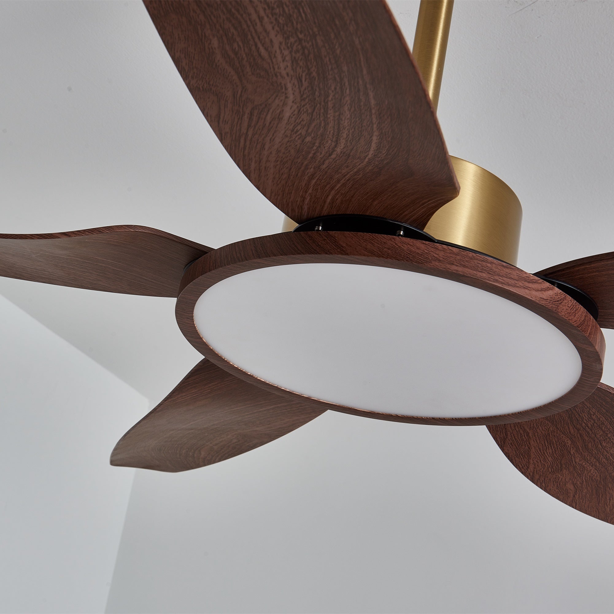 Aurelia Modern Wood Brass Ceiling Fan Light - Letslighting