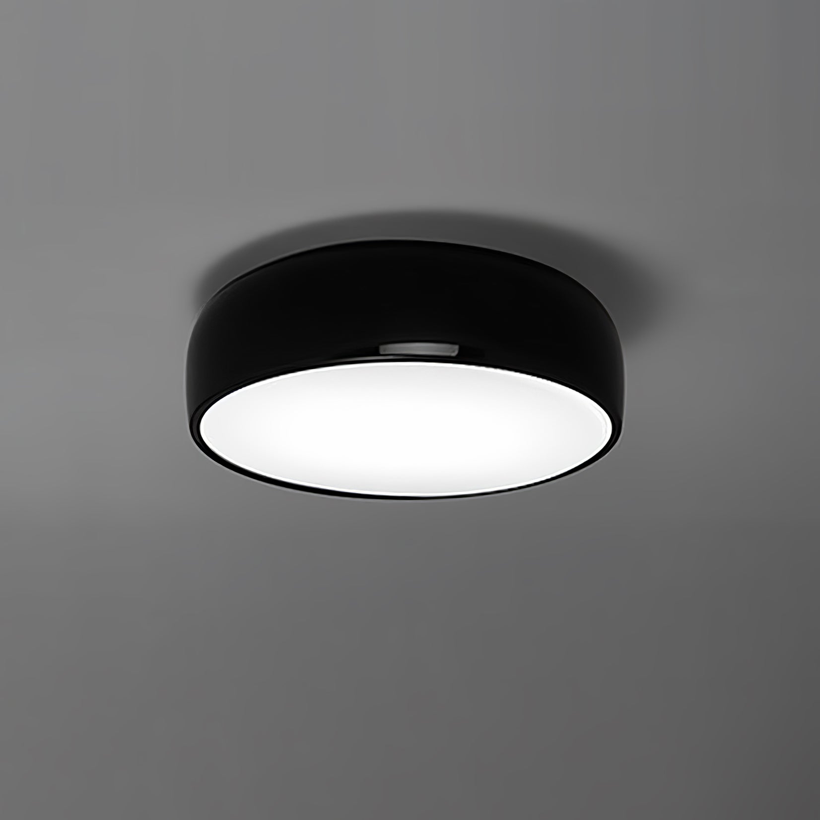 Lustra Ceiling Light Minimalist for Modern Kitchen or Cafe - Letslighting