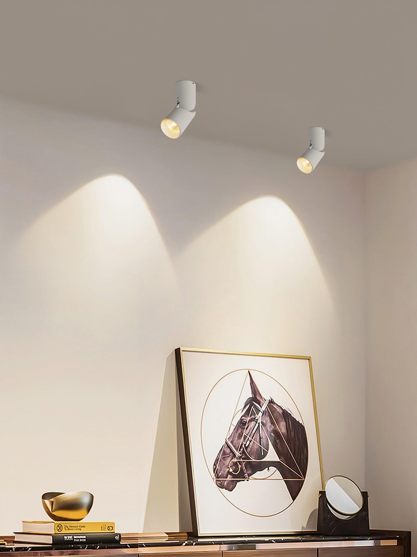 Lustra Ceiling lamp LED Spotlights Sunny Adjustable - Letslighting