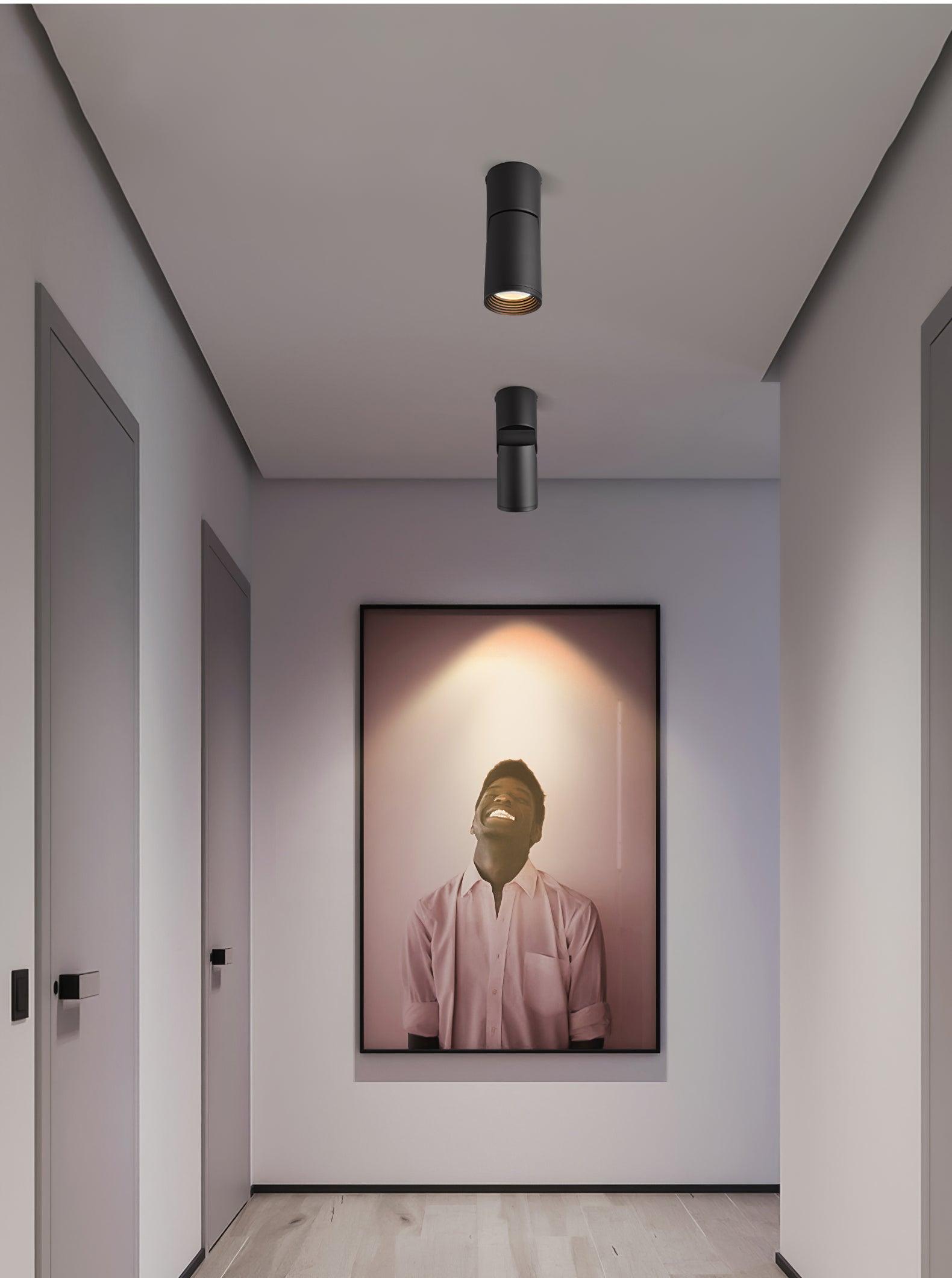 Lustra Ceiling lamp LED Spotlights Sunny Adjustable - Letslighting