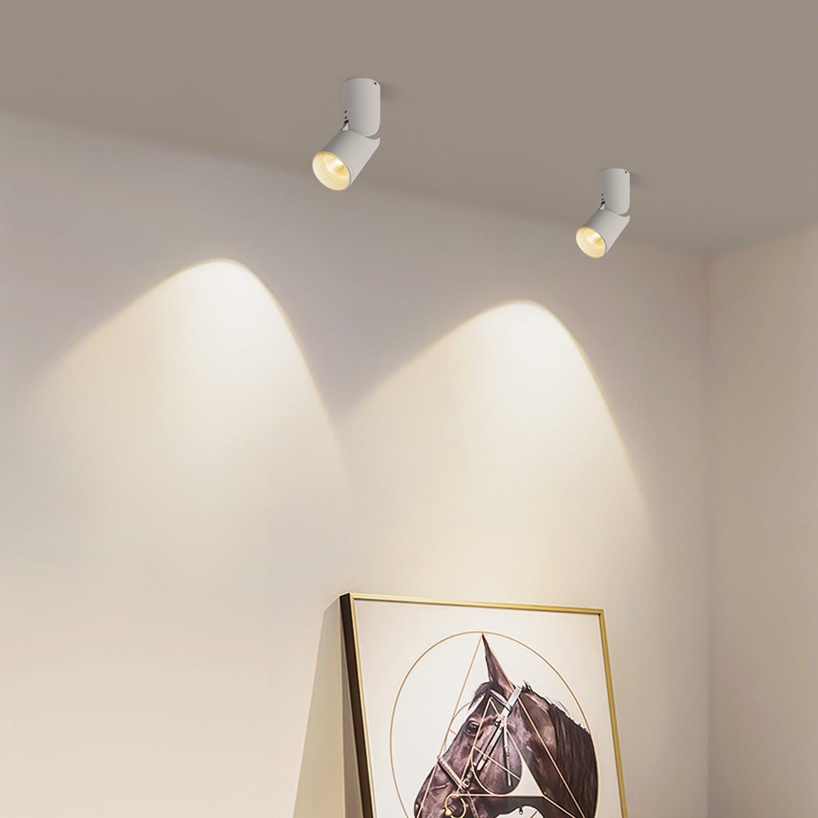 Lustra Ceiling lamp LED Spotlights Sunny Adjustable - Letslighting