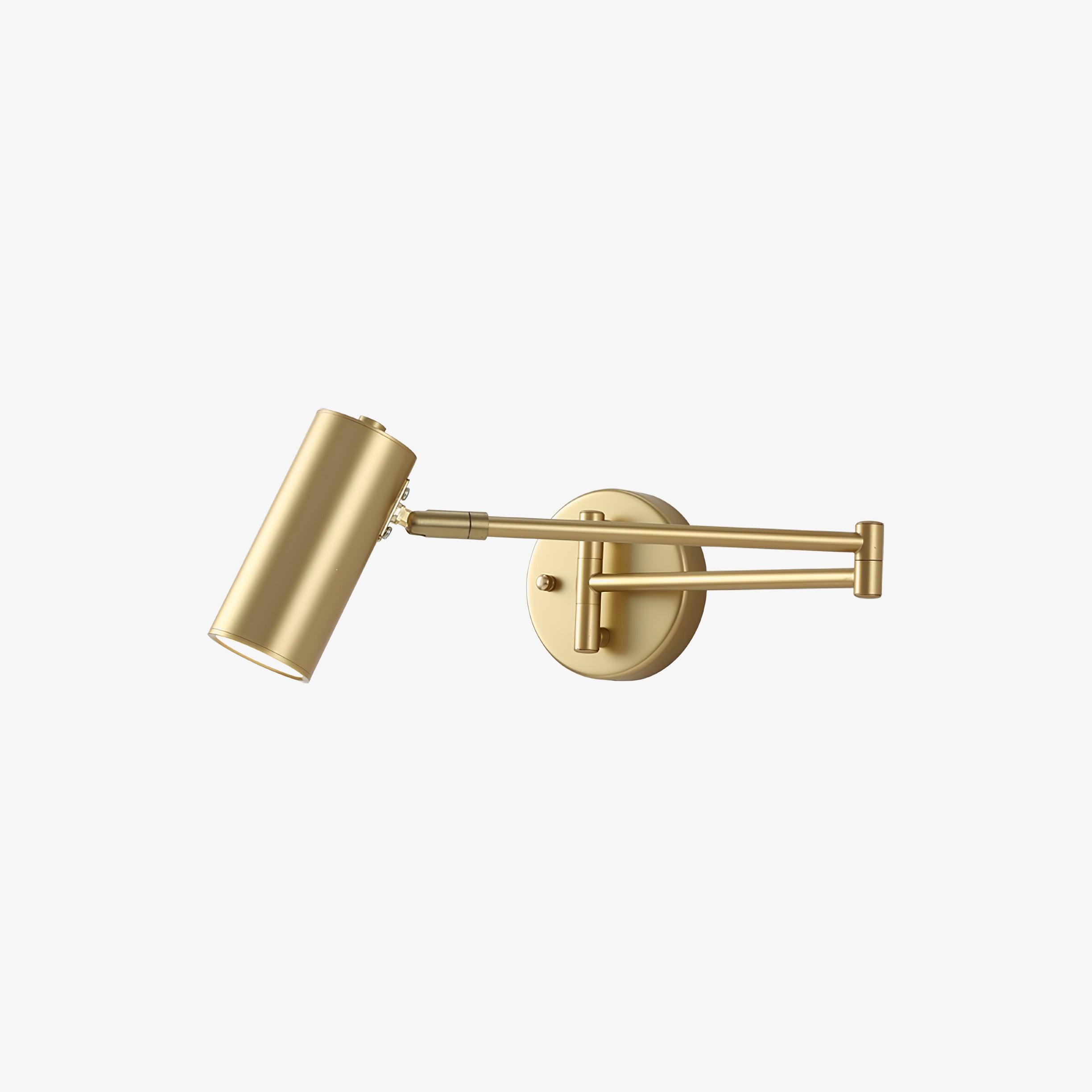 Ray Adjustable Swing Arm Wall Lamp
