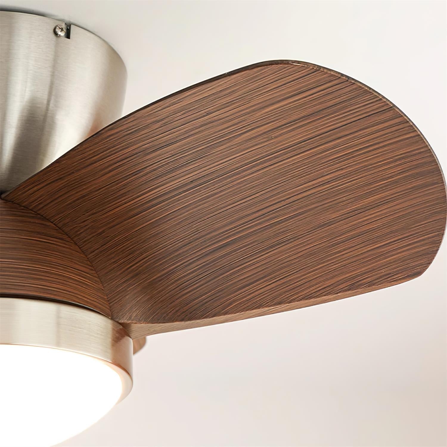 Eamon Modern Wood Ceiling Fan Light - Letslighting