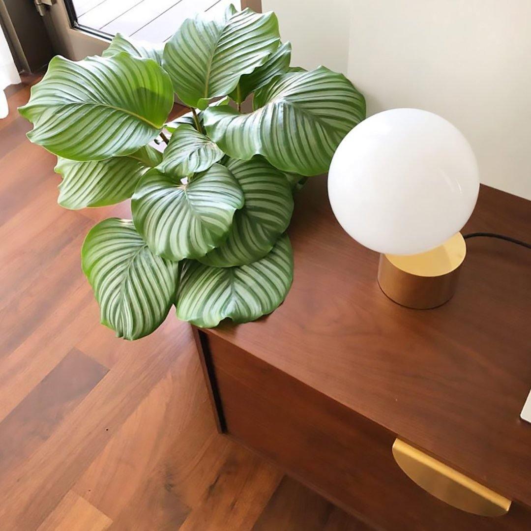 Lumavin Glass Industrial Table Lamp - Letslighting