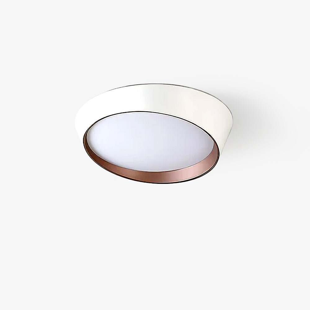 Avnoran Modern Minimalist Ceiling Lamp - Letslighting