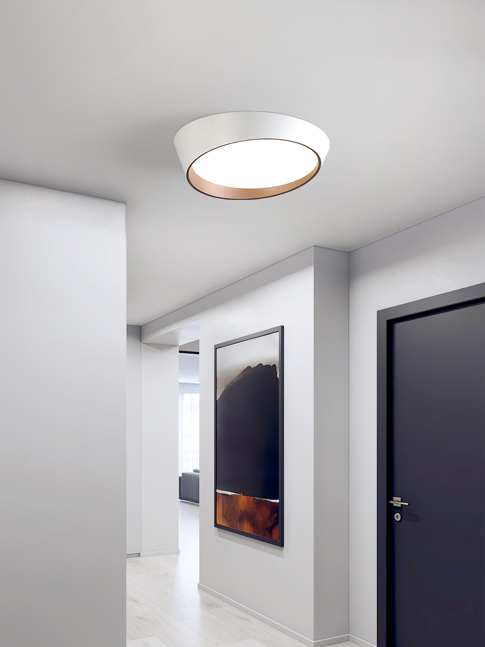 Avnoran Modern Minimalist Ceiling Lamp - Letslighting
