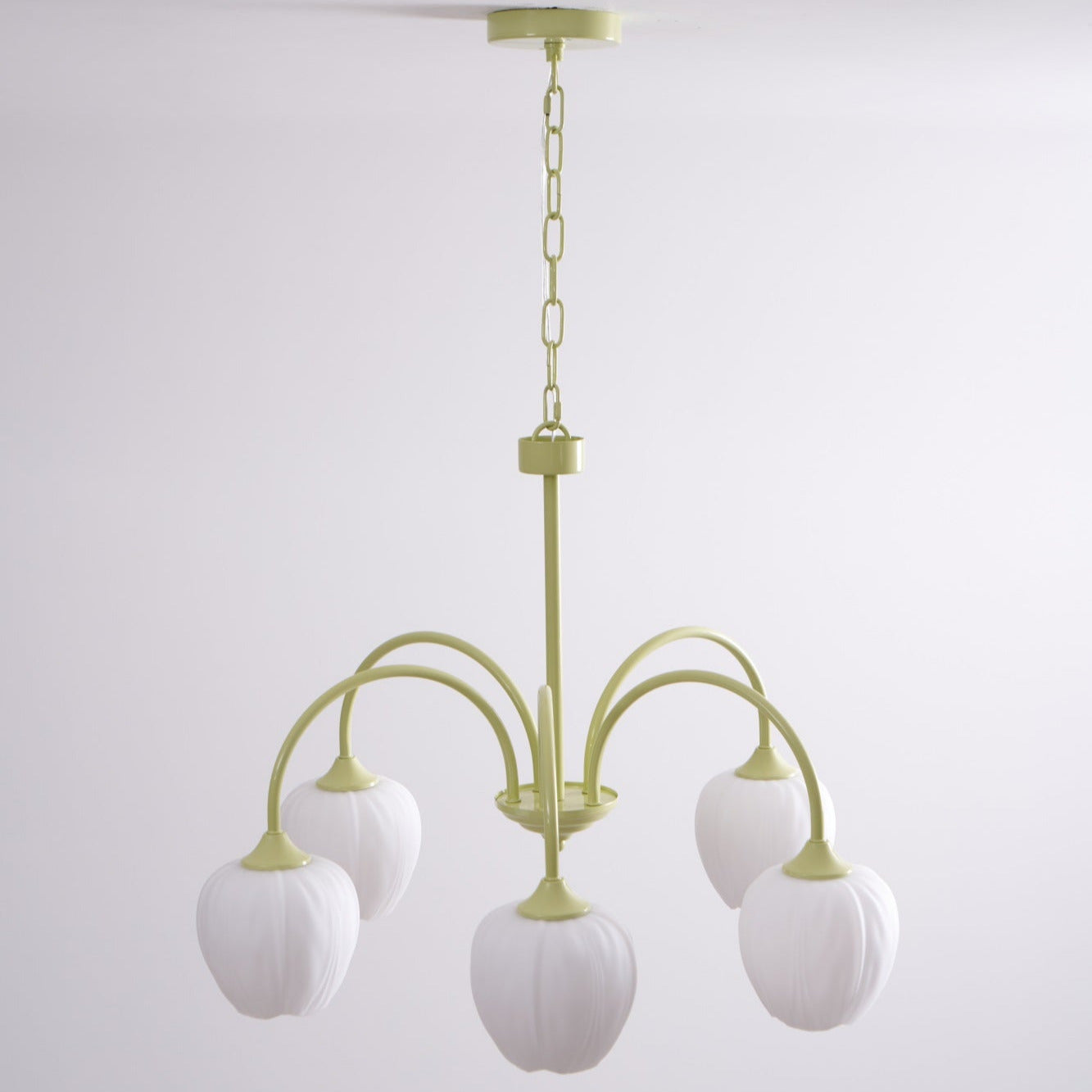 Aria Fresh Tulip Chandeliers - Letslighting