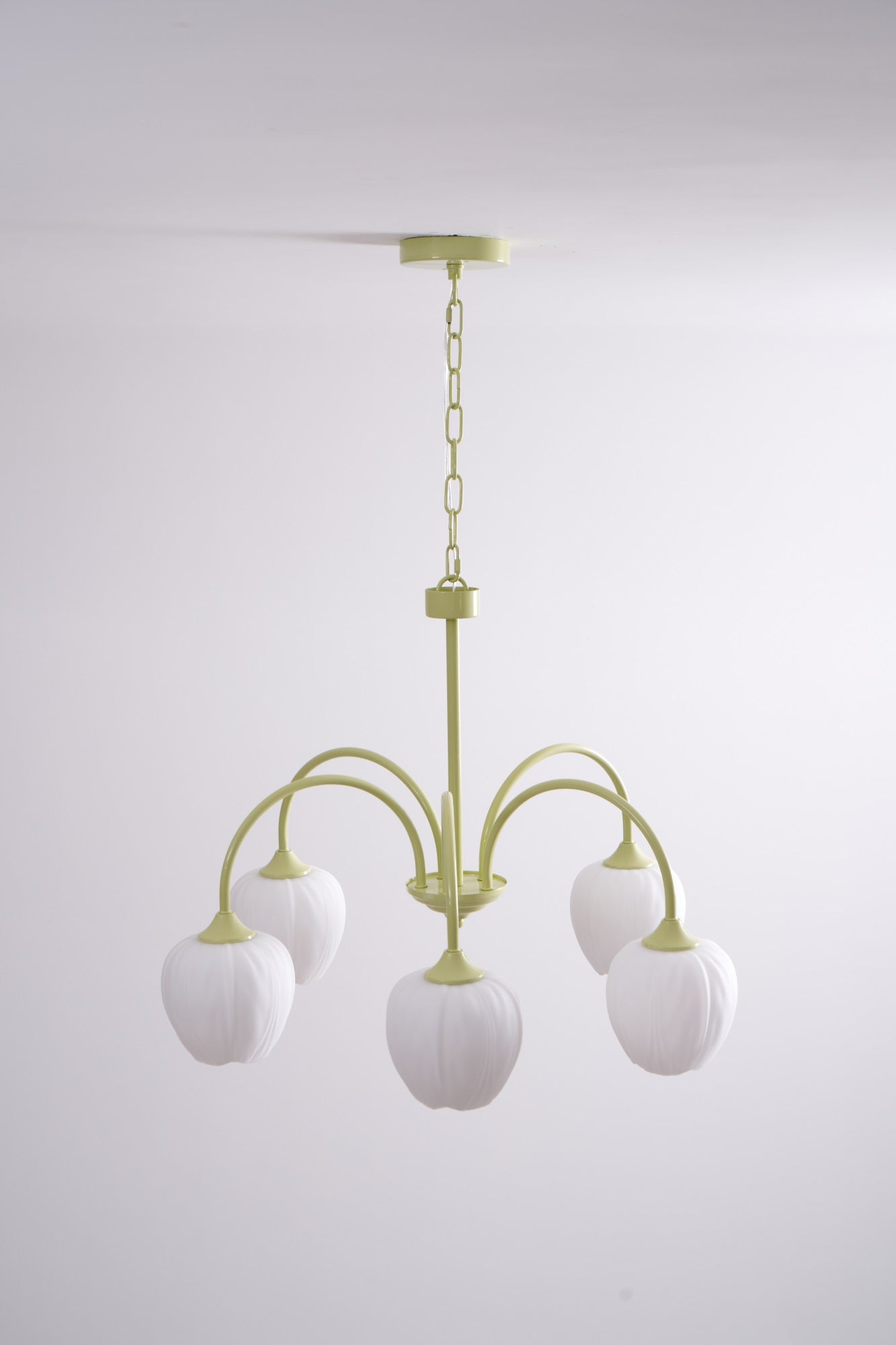 Lustra Chandelier Tulip Matcha Glass - Letslighting