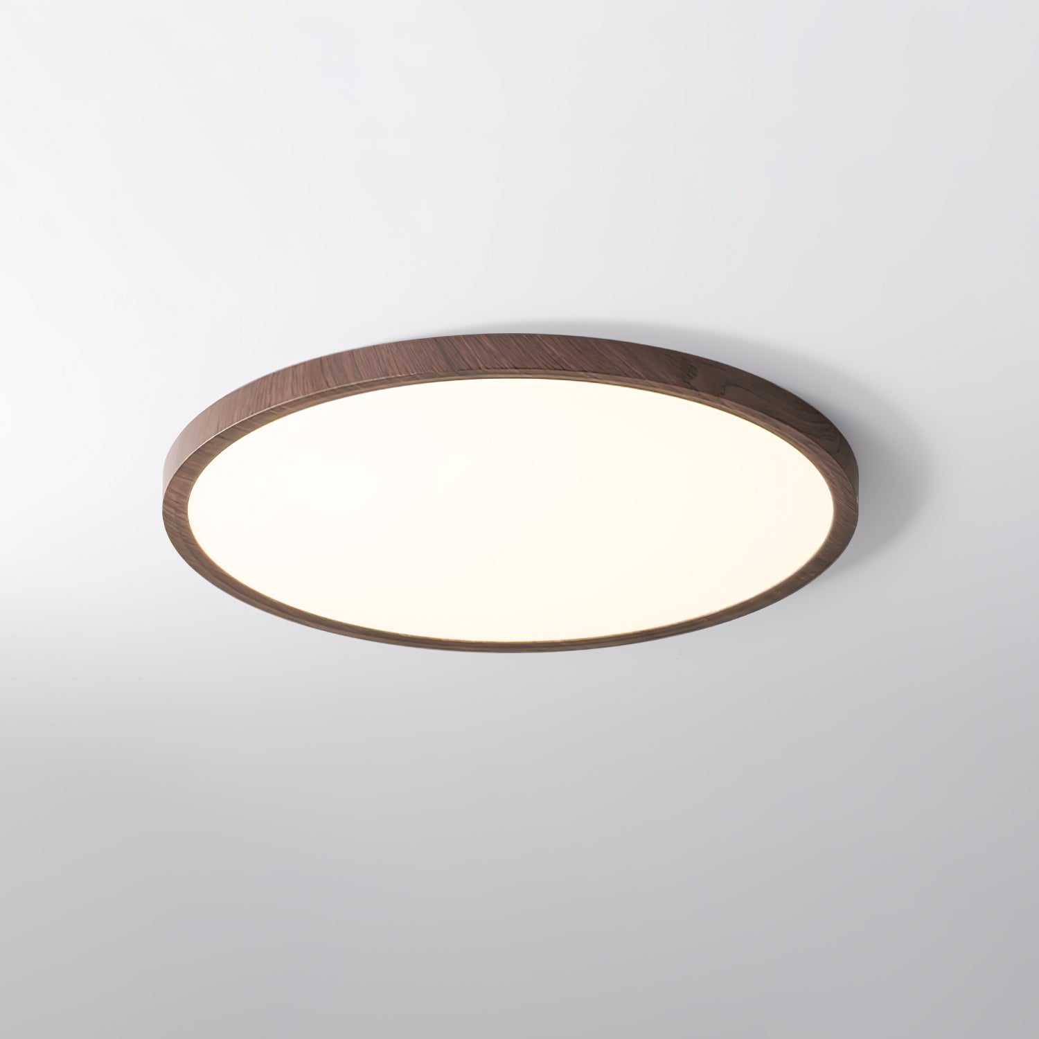 Muto Ultrathin Round Ceiling Light