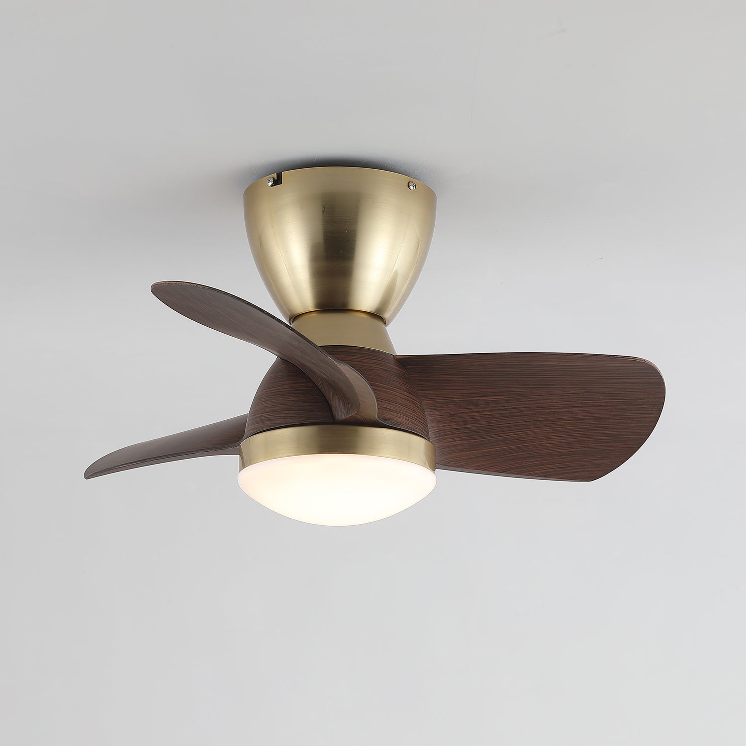 Elora Minimalist Brass Wood Ceiling Fan Light - Letslighting