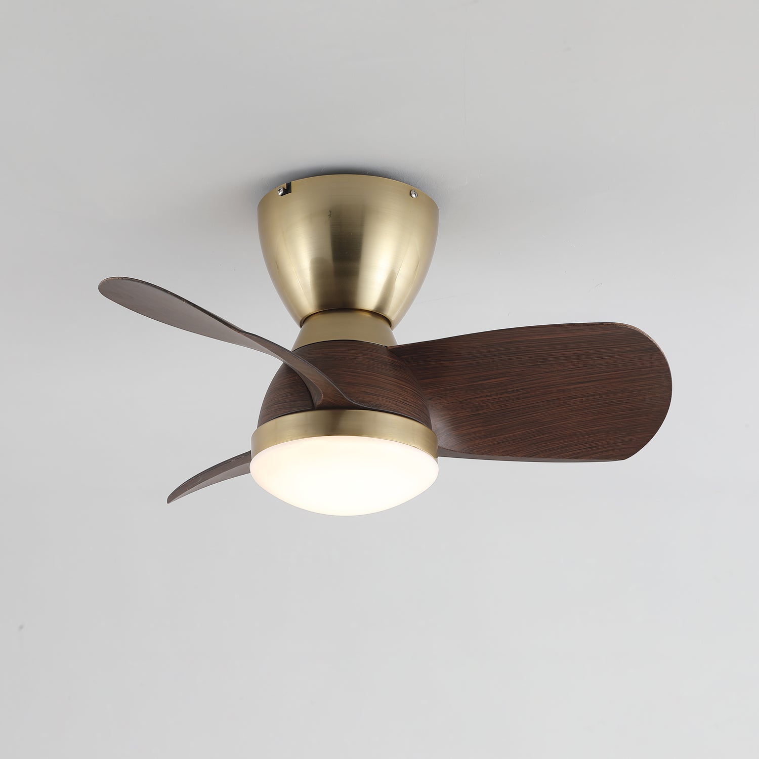 Elora Minimalist Brass Wood Ceiling Fan Light - Letslighting