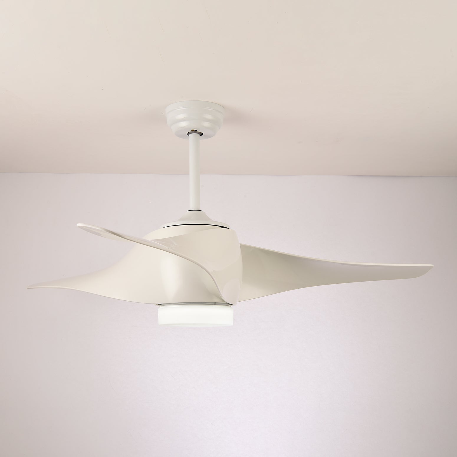 Eden Ceiling Fan Light - Letslighting