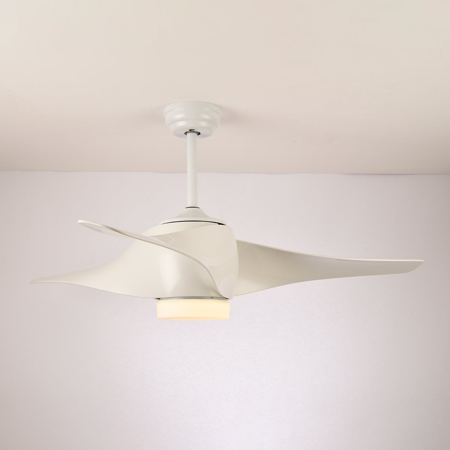 Eden Ceiling Fan Light - Letslighting