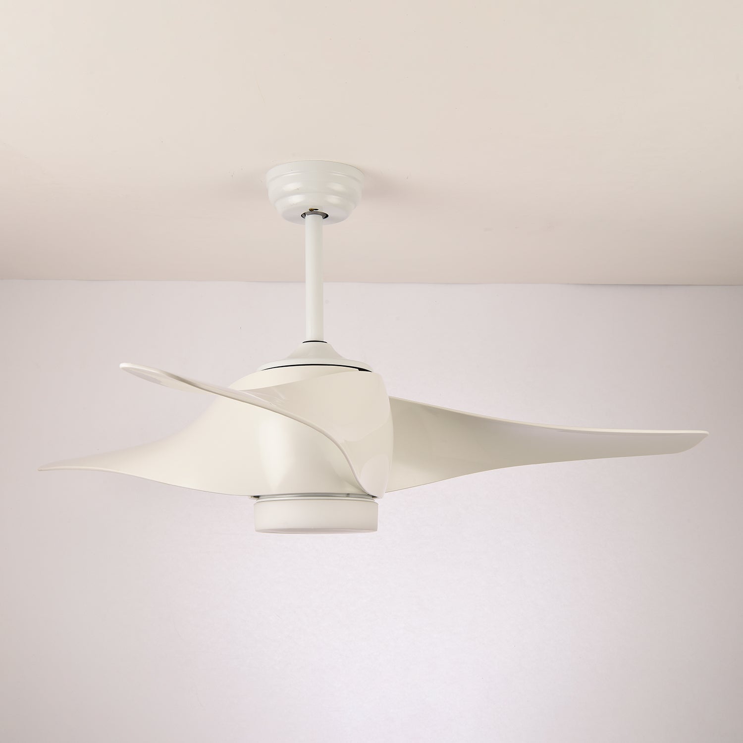Eden Ceiling Fan Light - Letslighting