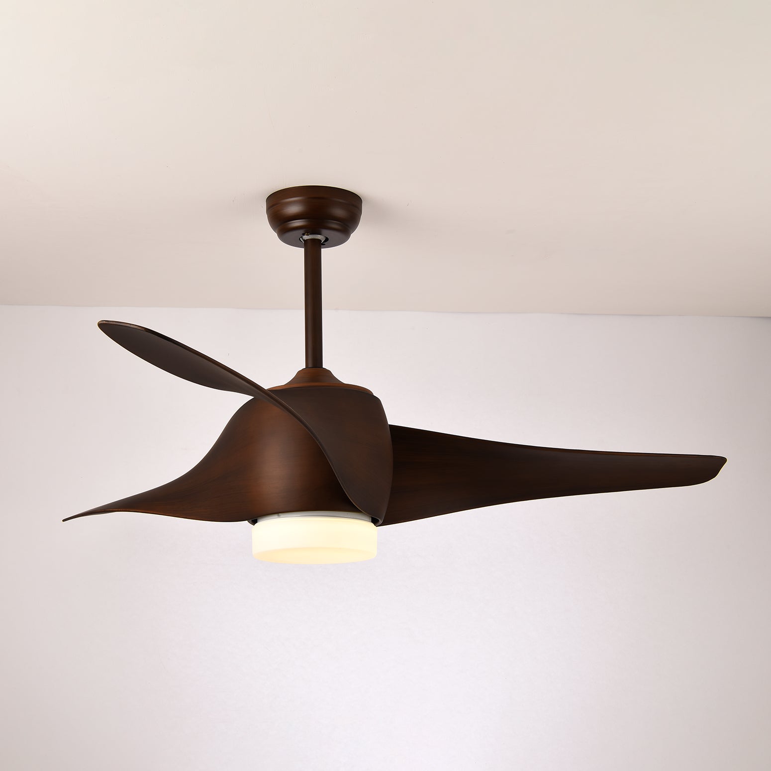 Eden Ceiling Fan Light - Letslighting