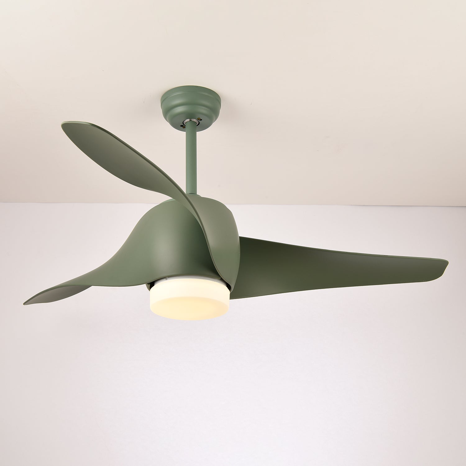 Eden Ceiling Fan Light - Letslighting