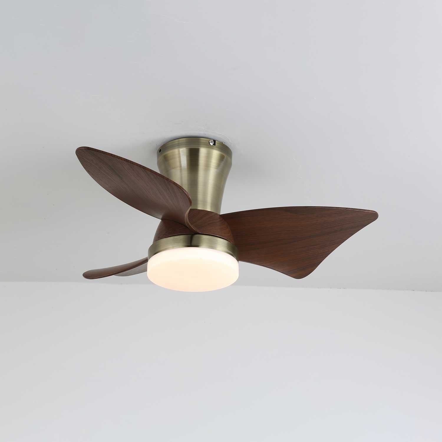 Caspian Modern Wood Ceiling Fan Light - Letslighting