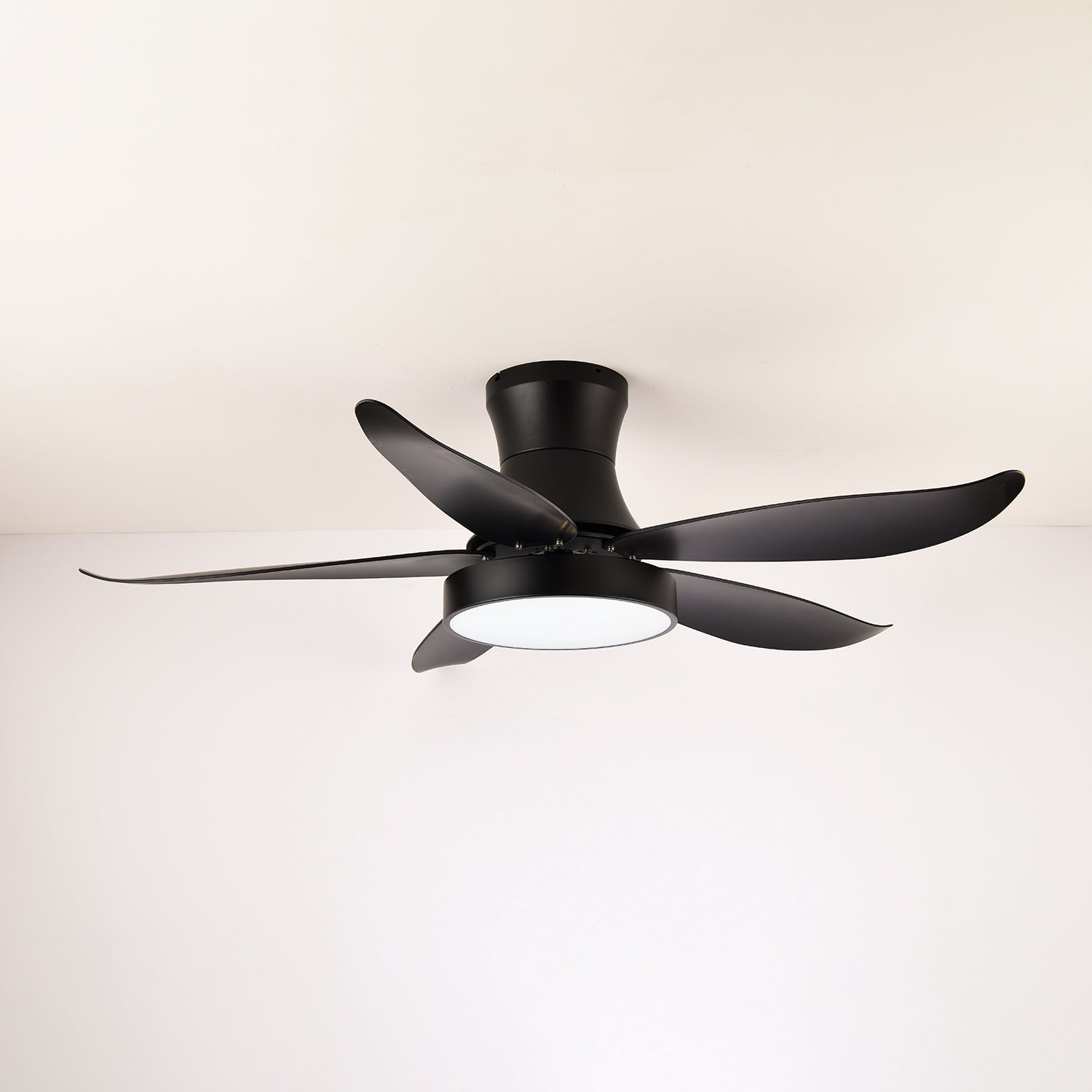 Aveline Modern Black Ceiling Fan Light - Letslighting