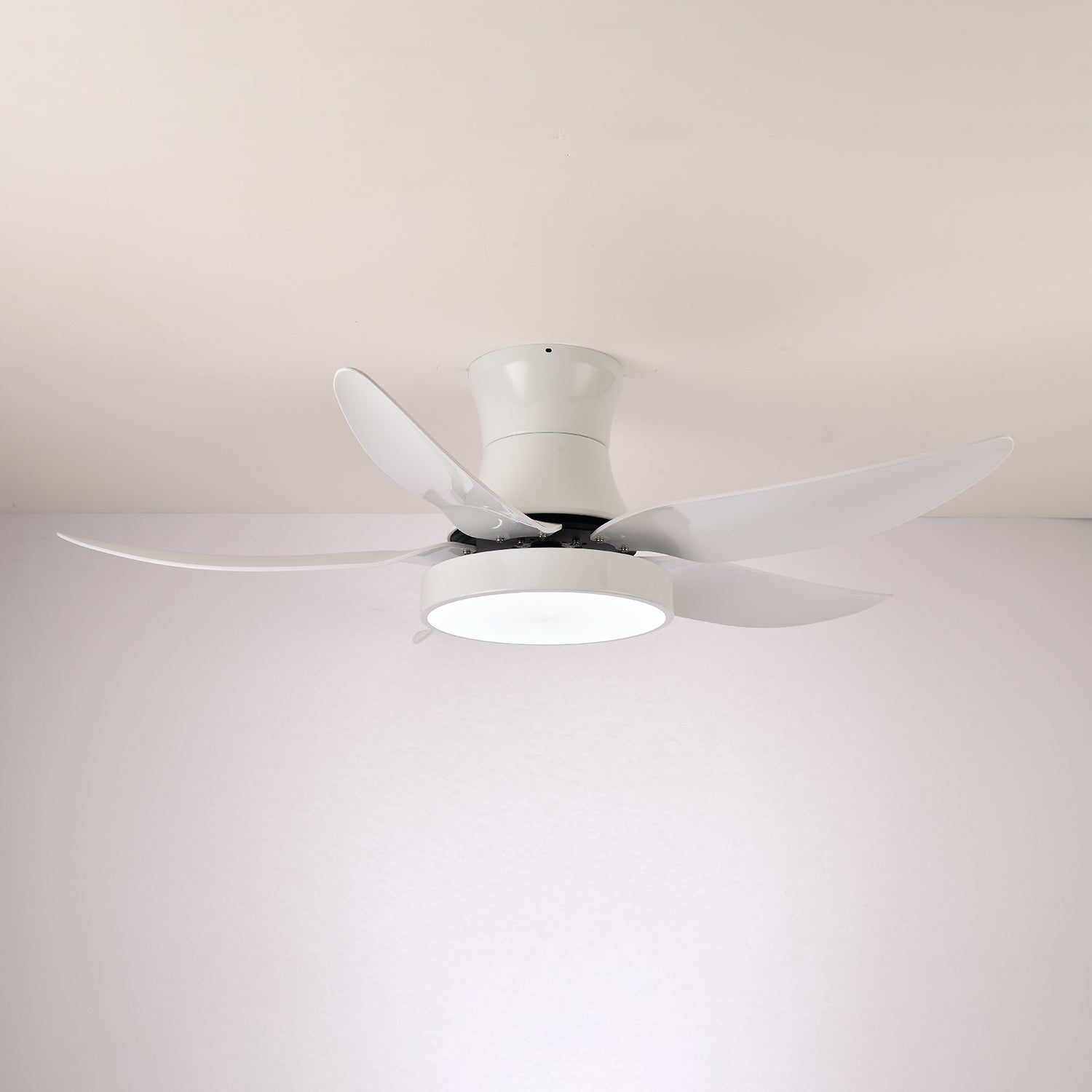 Aveline Modern Black Ceiling Fan Light - Letslighting