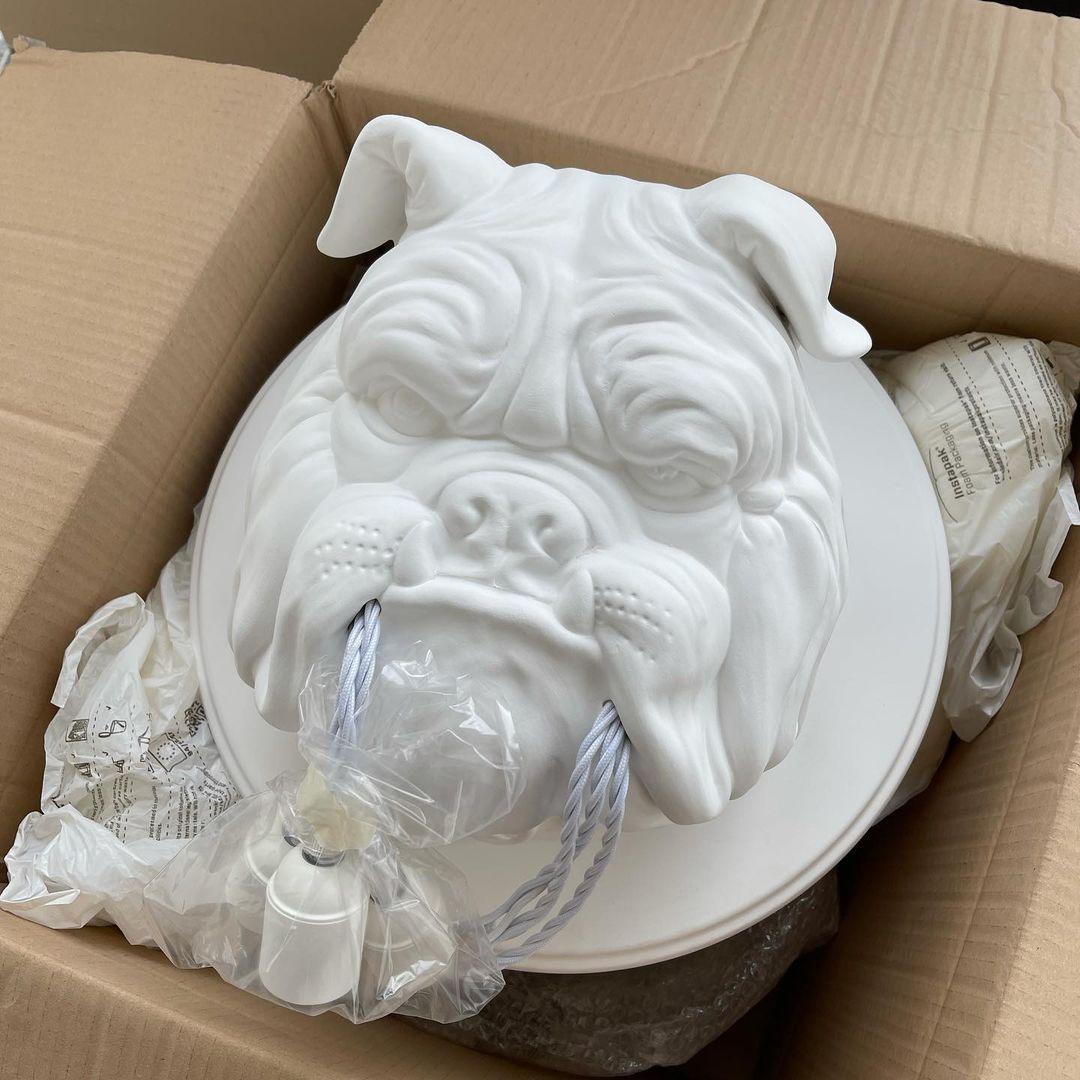 Lustra Wall Lamp Bulldog Sculpture Whimsical - Letslighting